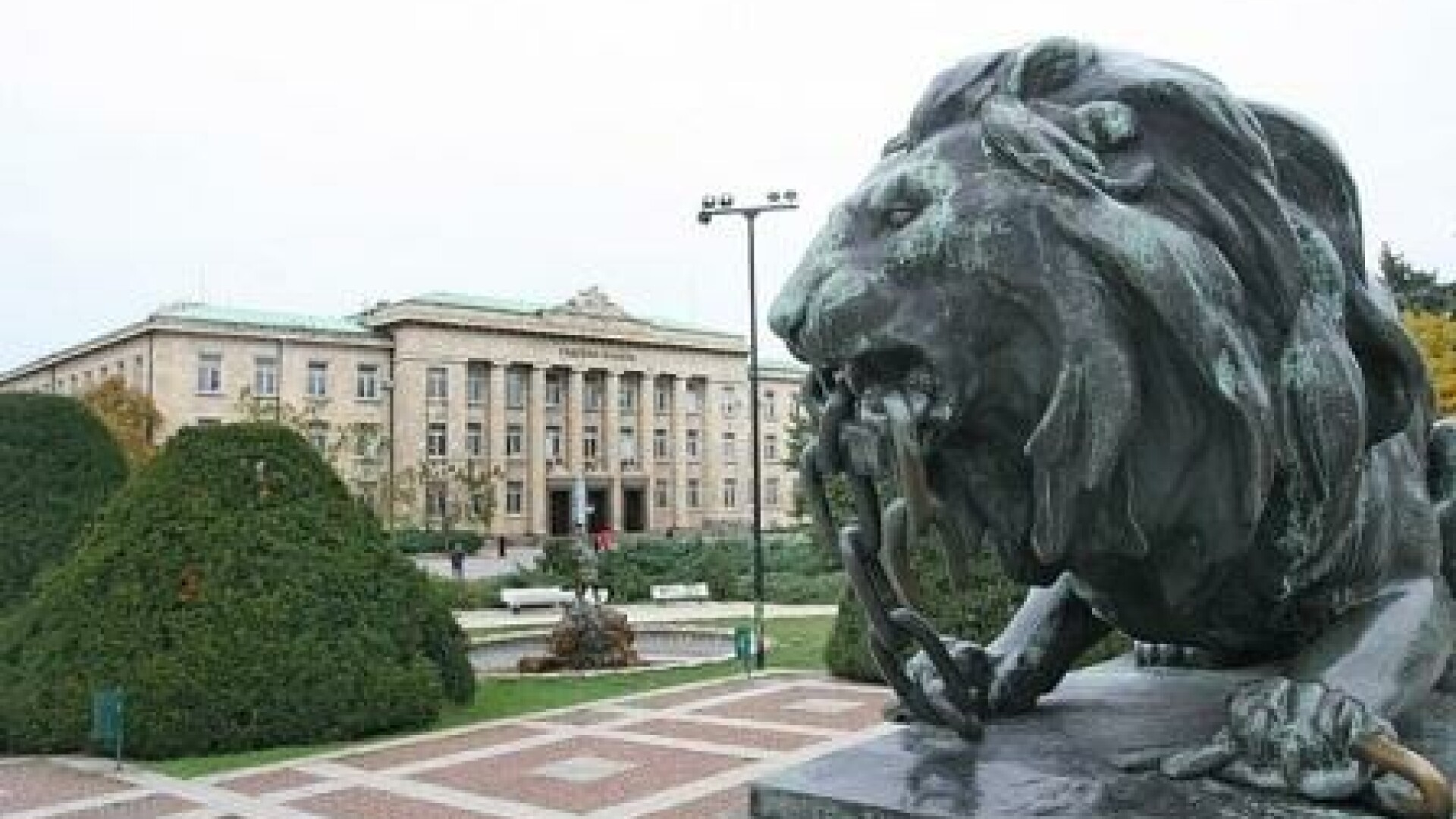 statuie din bronz, leu, Ruse, Bulgaria