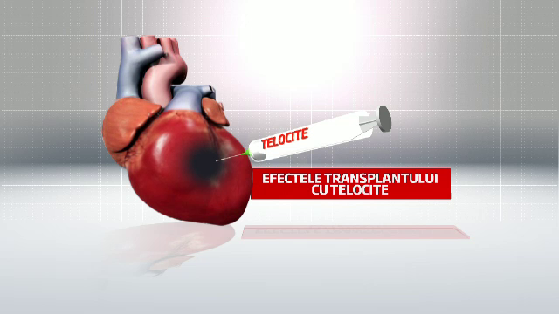 telocite