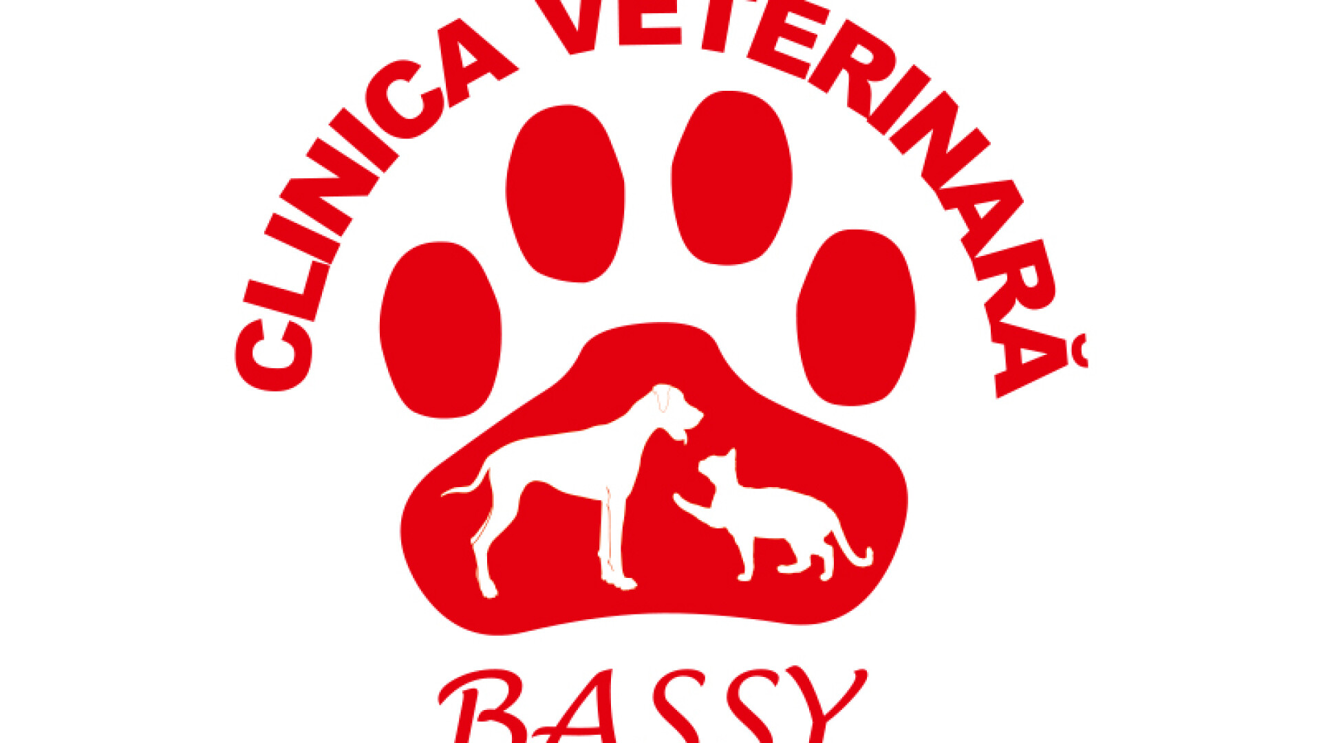 Clinica Bassy, Logo
