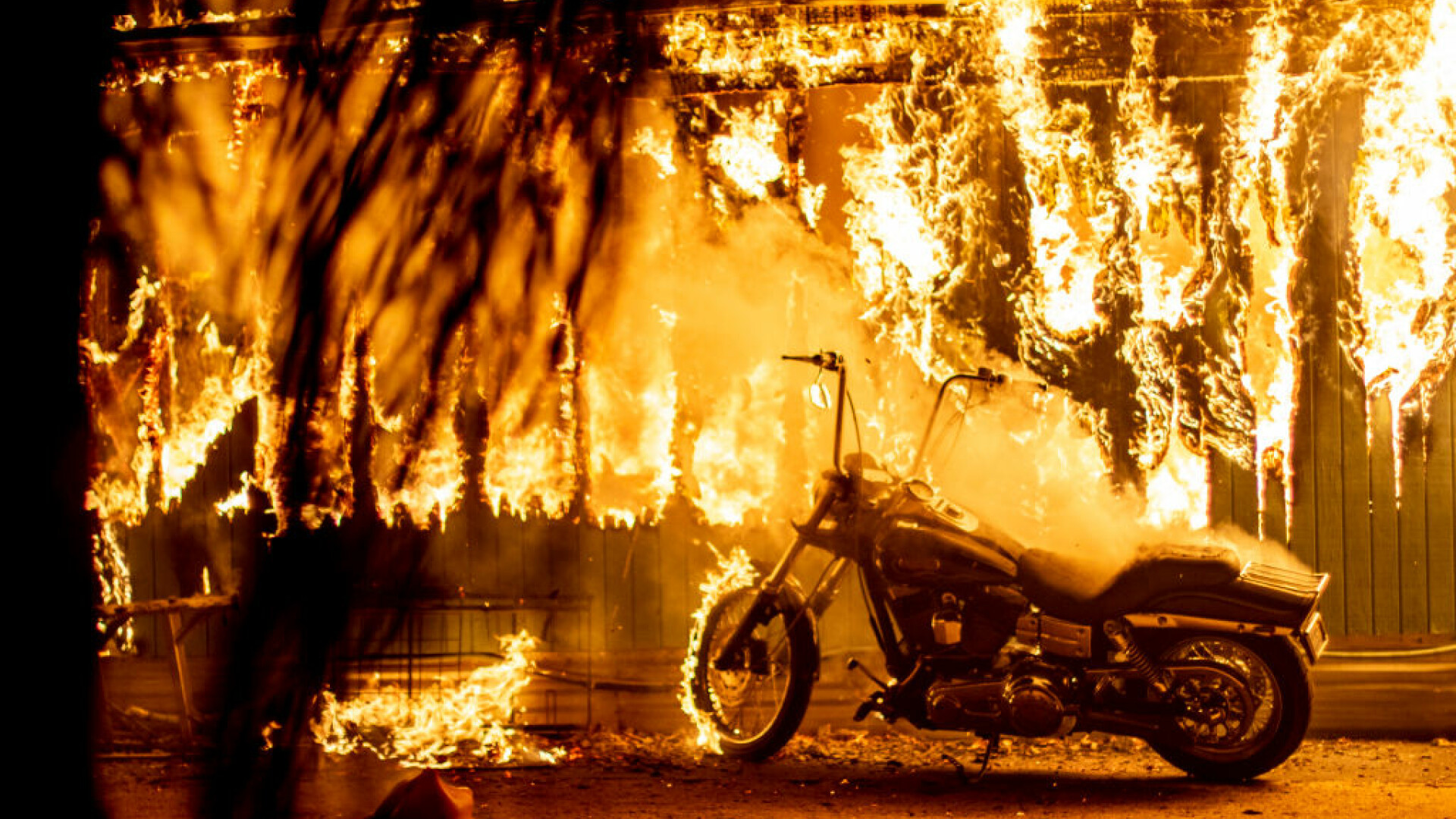Incendii California