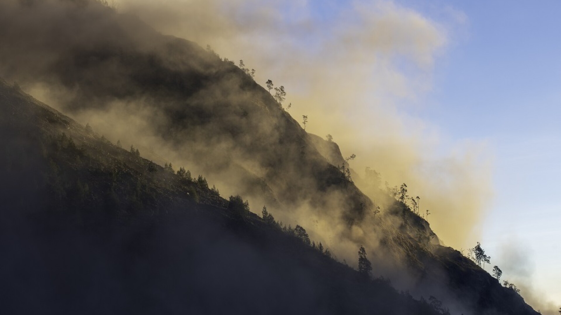 Patru persoane au murit într-o alunecare de teren produsă într-o provincie din Indonezia