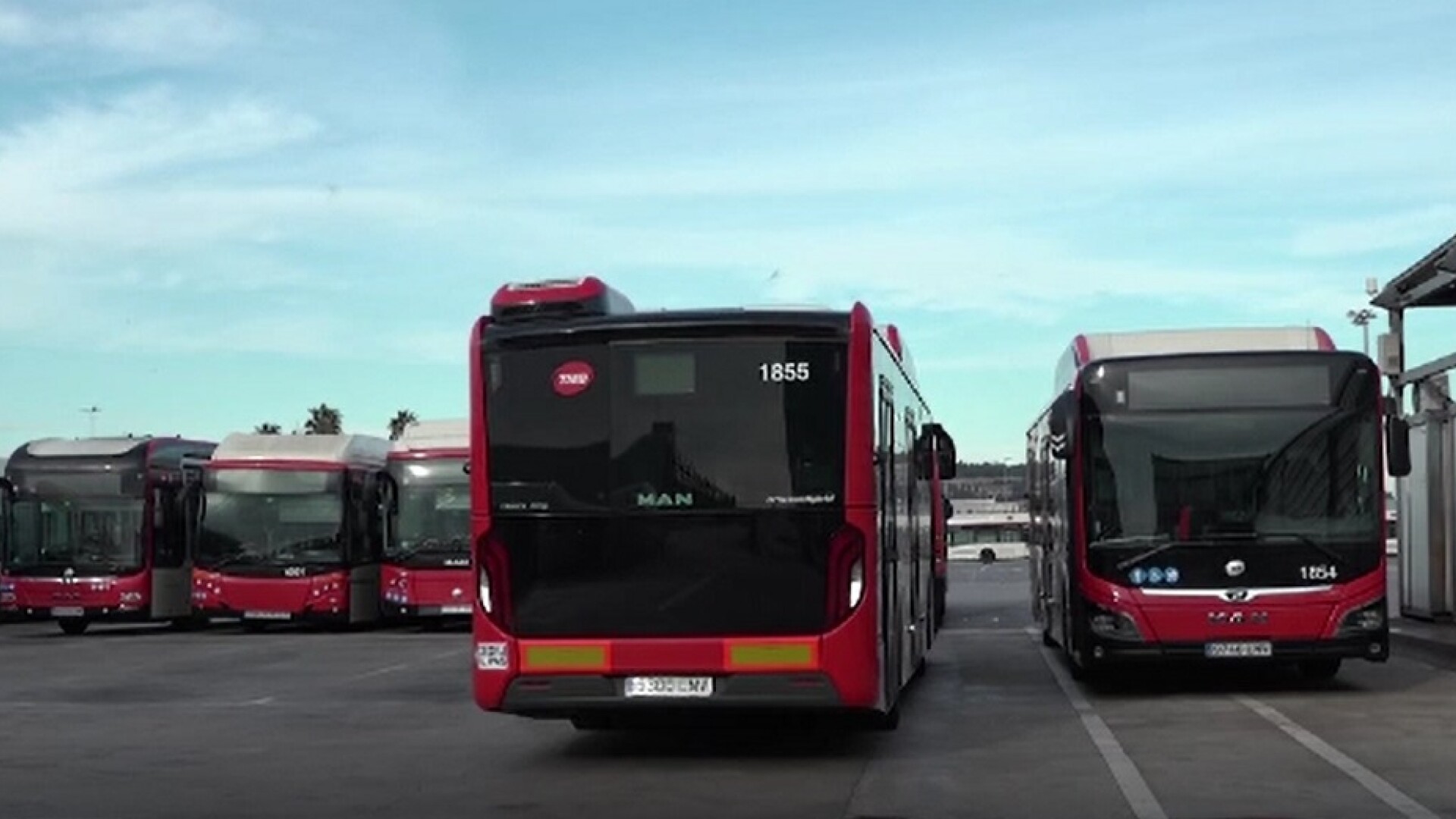 Proiect îndrăzneț în Barcelona. Autoritățile vor ca autobuzele să fie alimentate cu biometan