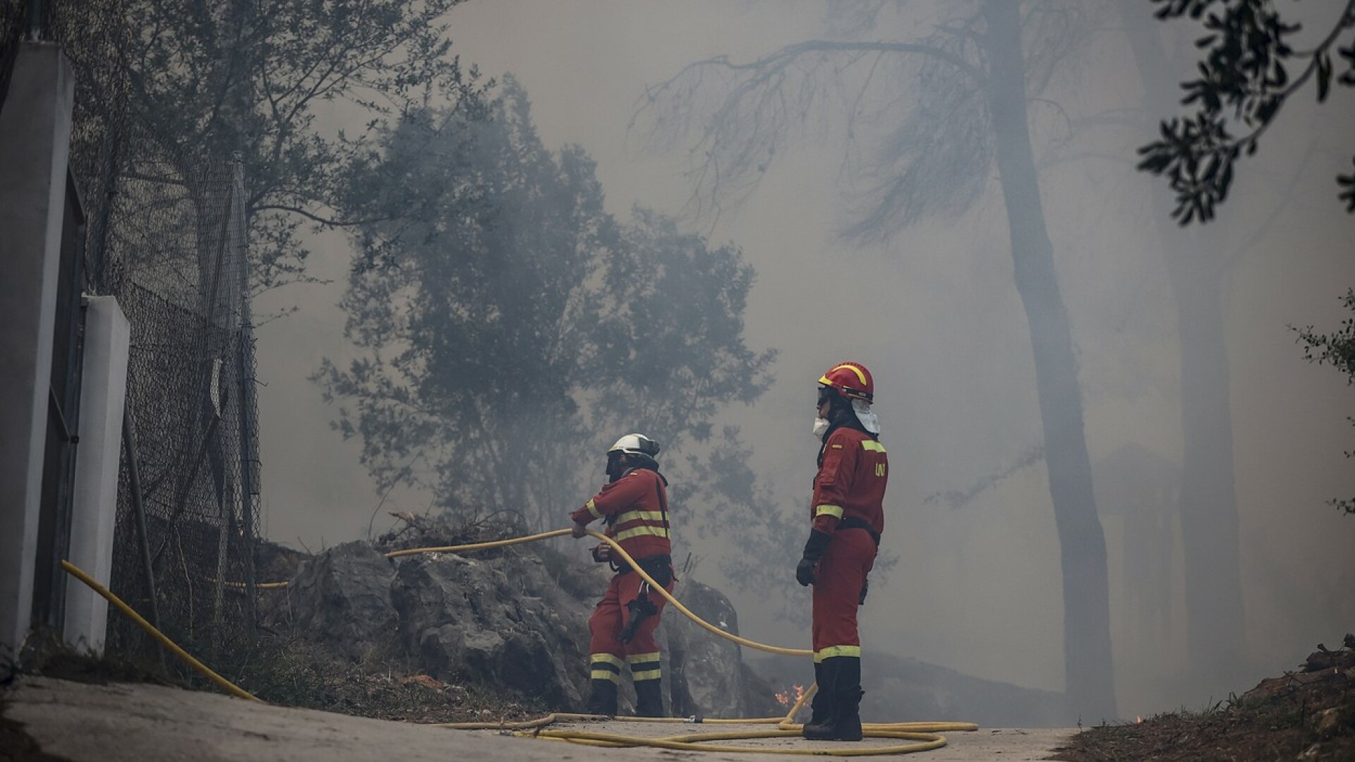 incediu de vegetatie Valencia, Spania