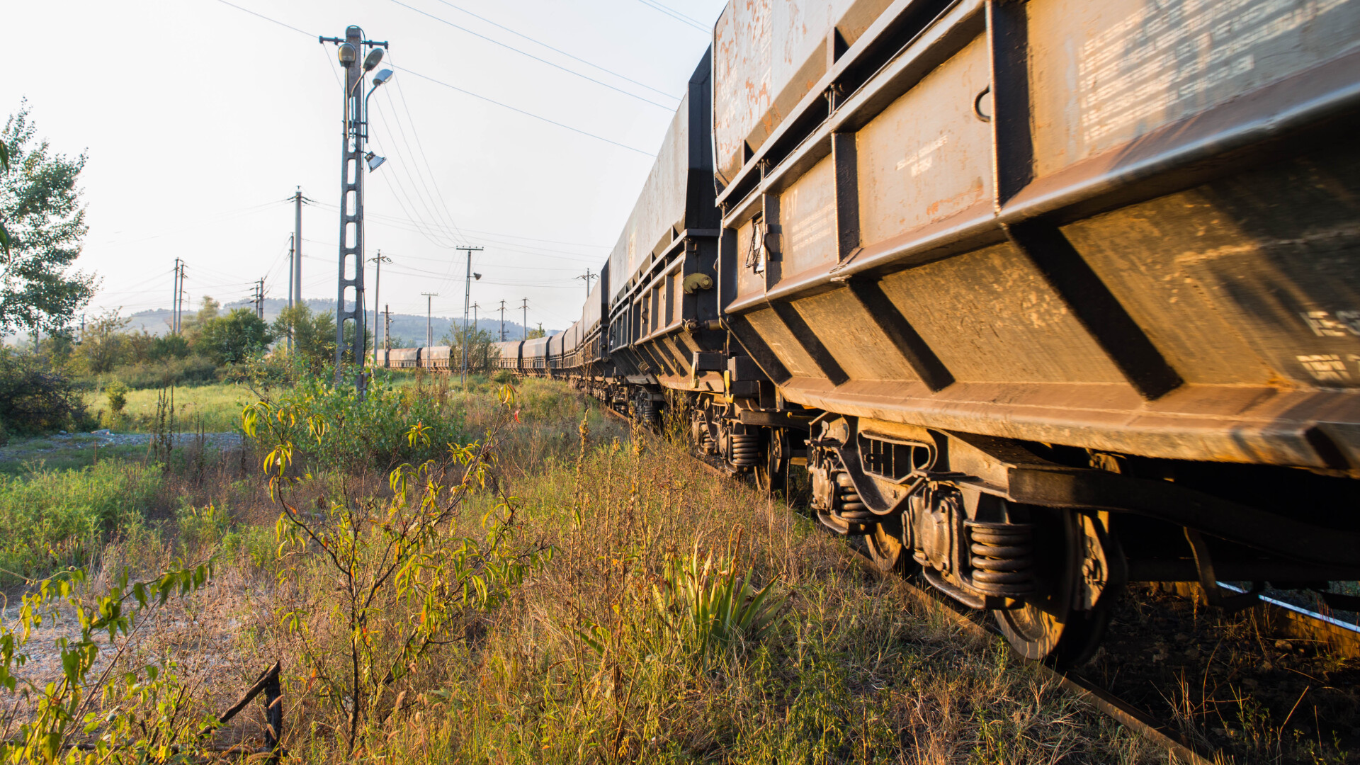 tren de marfa