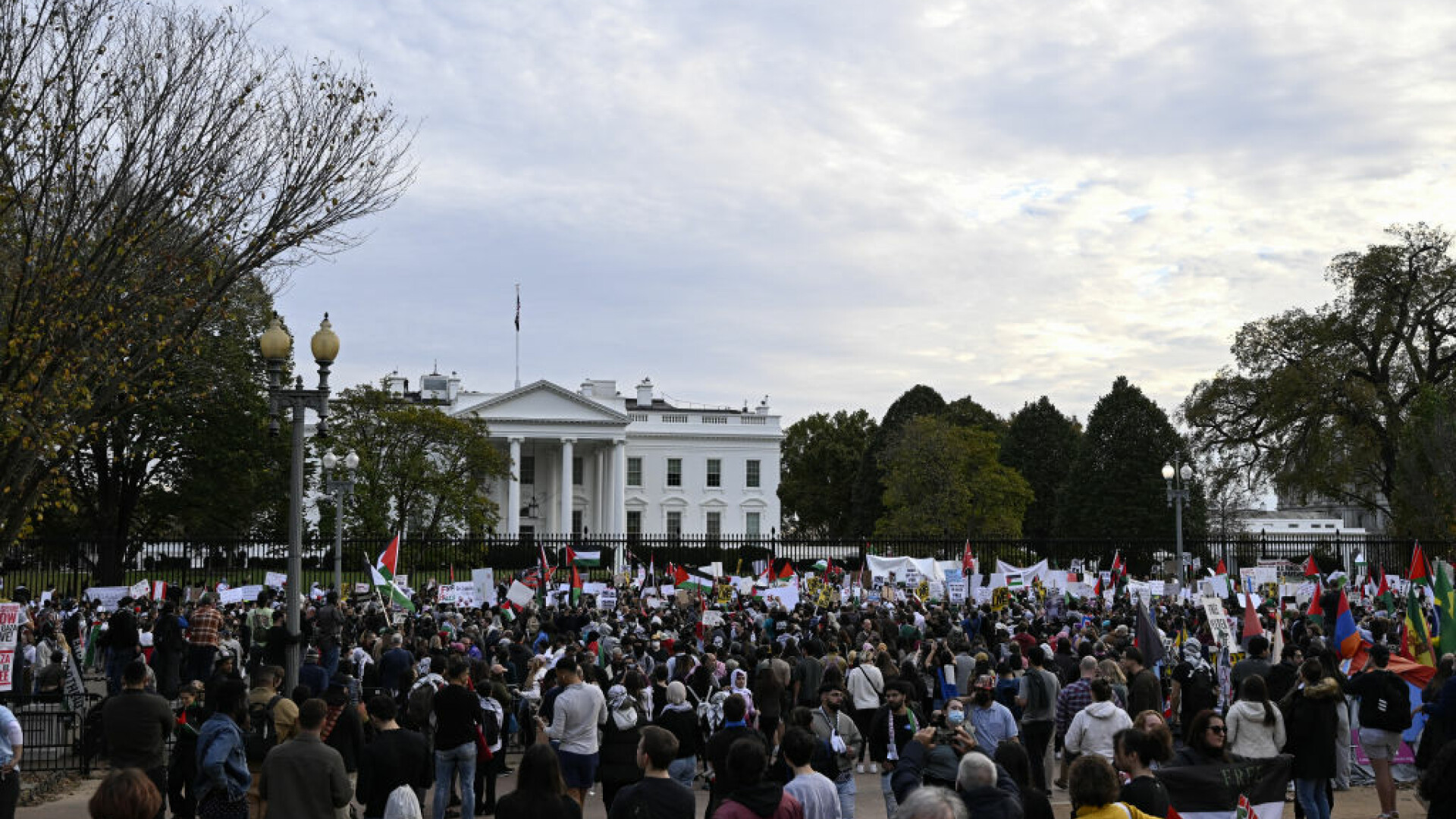 protest pro-palestina in SUA