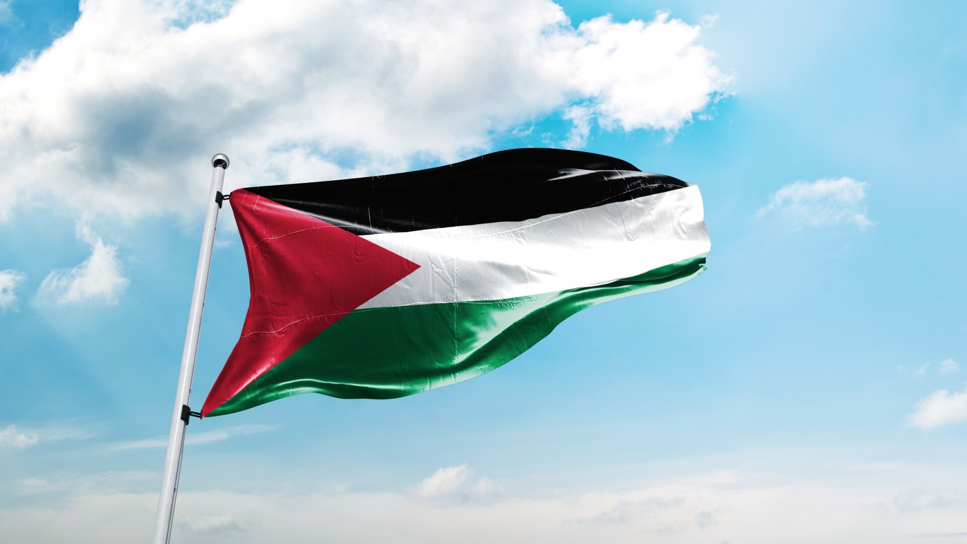 steag palestina