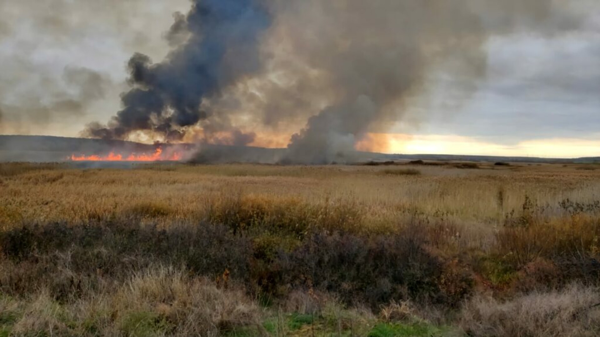 Incendiu uriaș în Delta Neajlovului din Giurgiu. Peste 60 de hectare de stuf au fost curpinse de flăcări