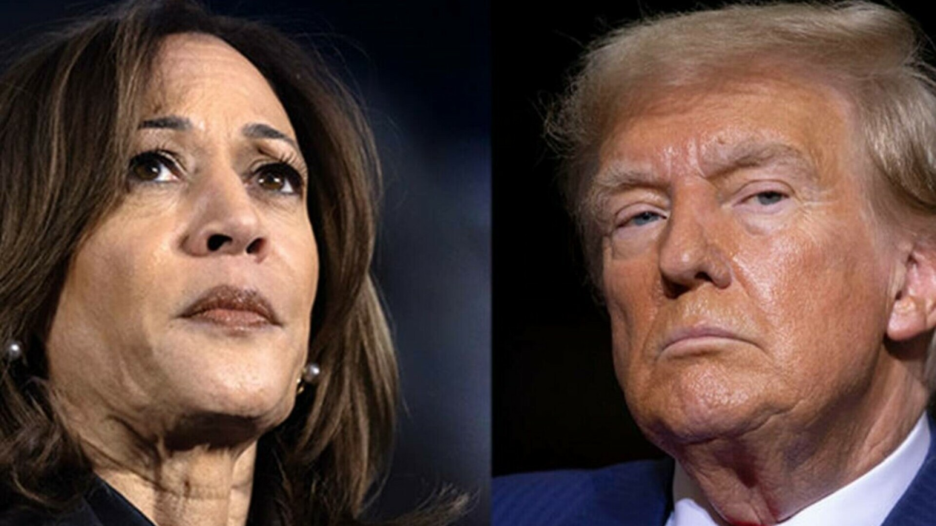 kamala harris donald trump