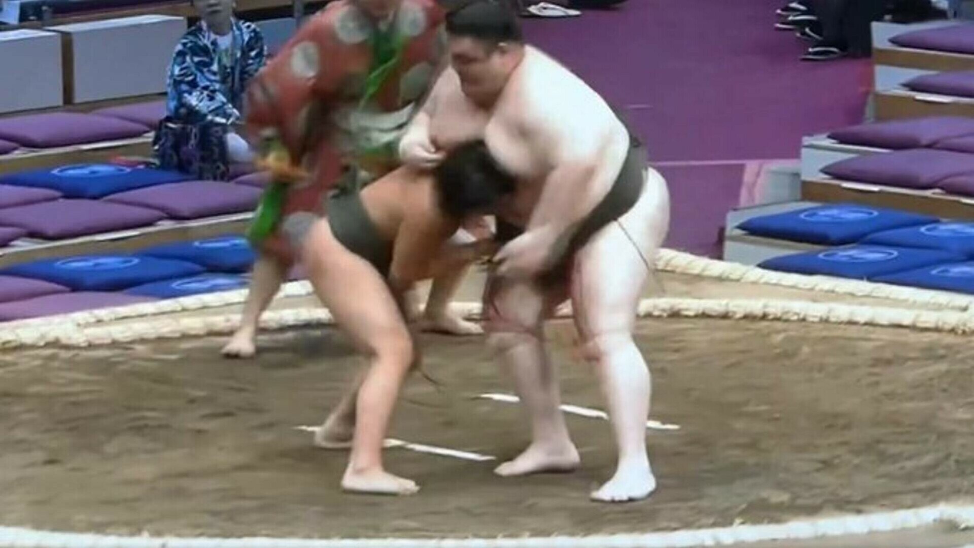 sumo