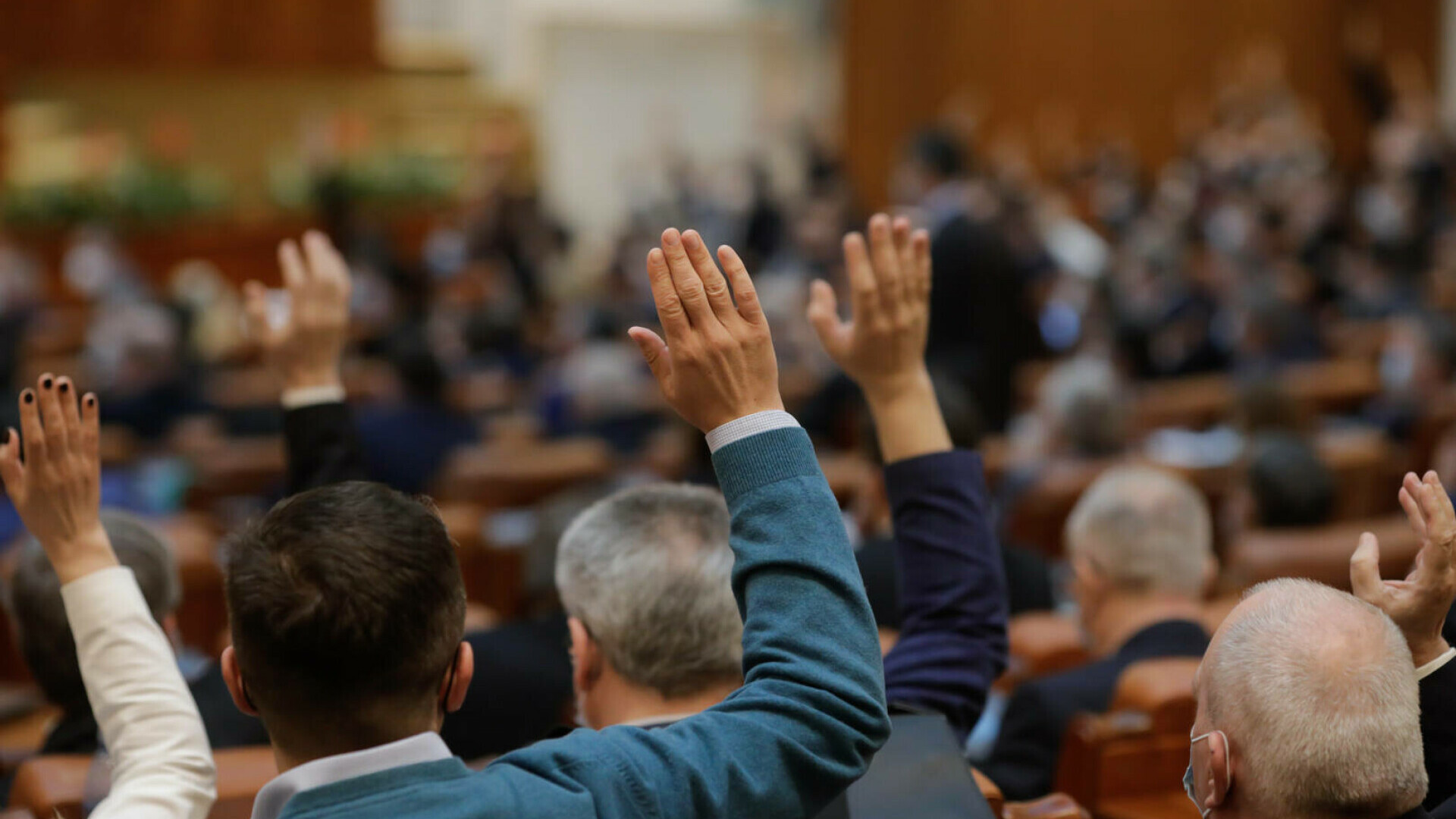 alegeri parlamentare parlament parlamentari