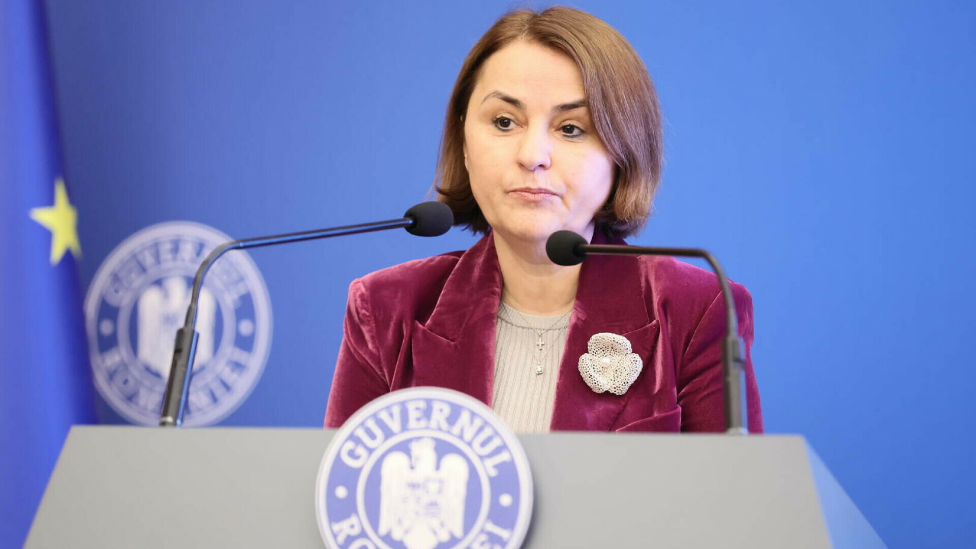 Luminița Odobescu, numită consilier de stat în Cancelaria prim-ministrului. Decizia, publicată în Monitorul Oficial