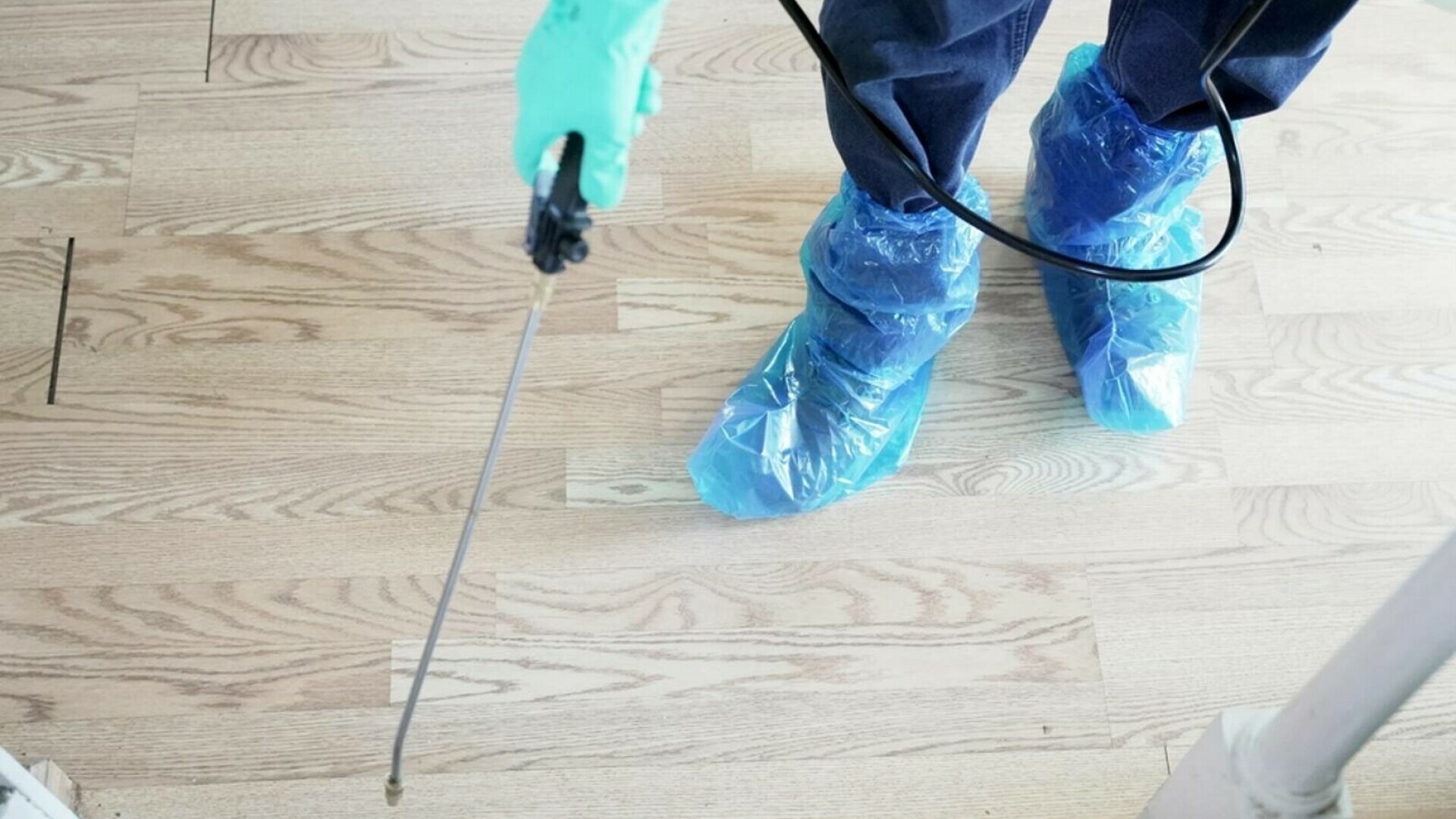 Primul semn că ai o infestare în casă, conform unui specialist în combaterea dăunătorilor