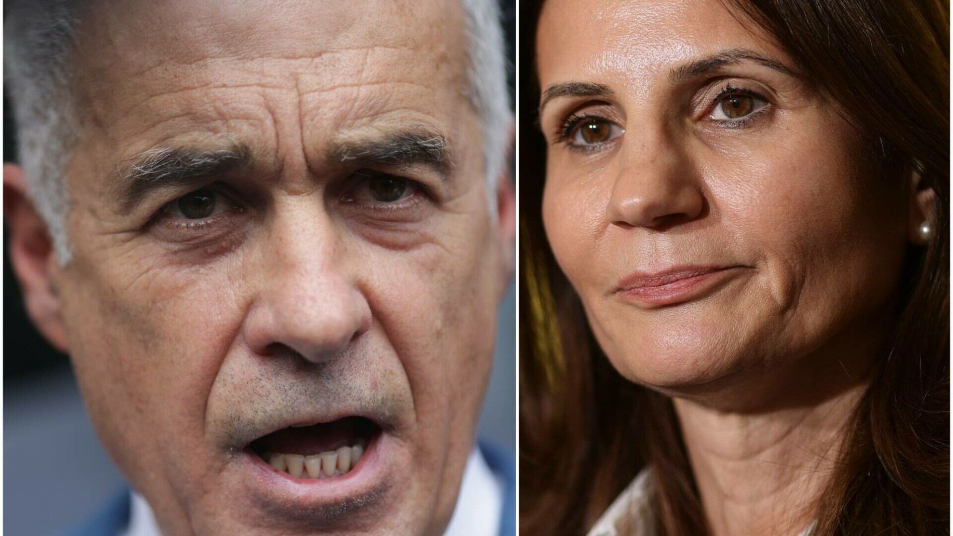 Calin Georgescu, Anca Alexandrescu