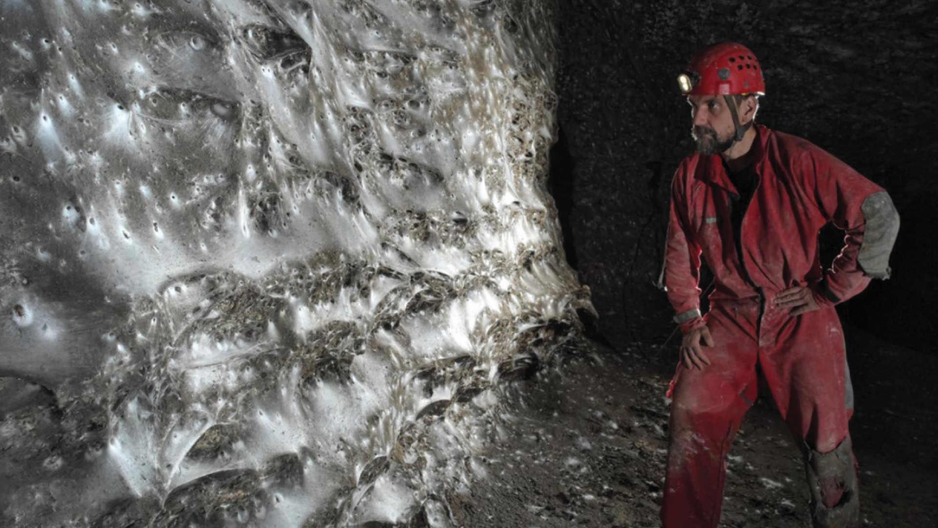 cea mai mare panza de paianjen