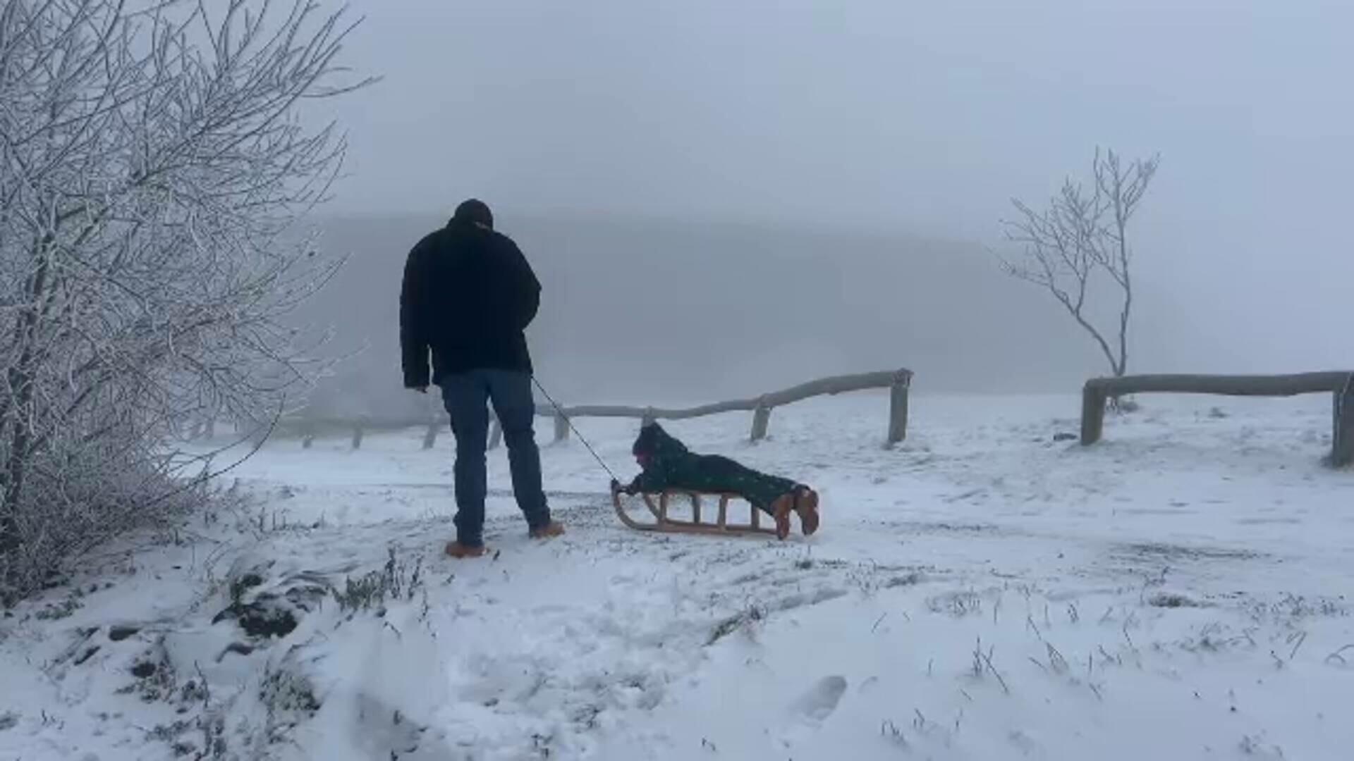 Vremea de azi, 8 ianuarie. Ninsori, lapoviță și vânt puternic în majoritatea regiunilor. Minimele ating -15 grade