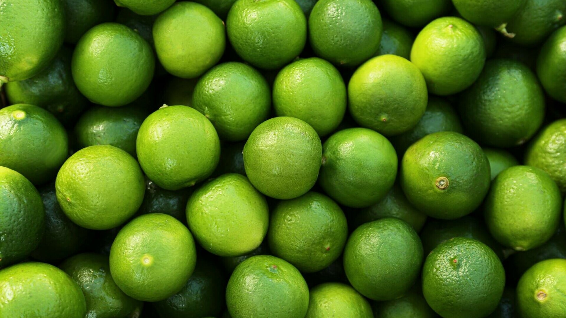 lime
