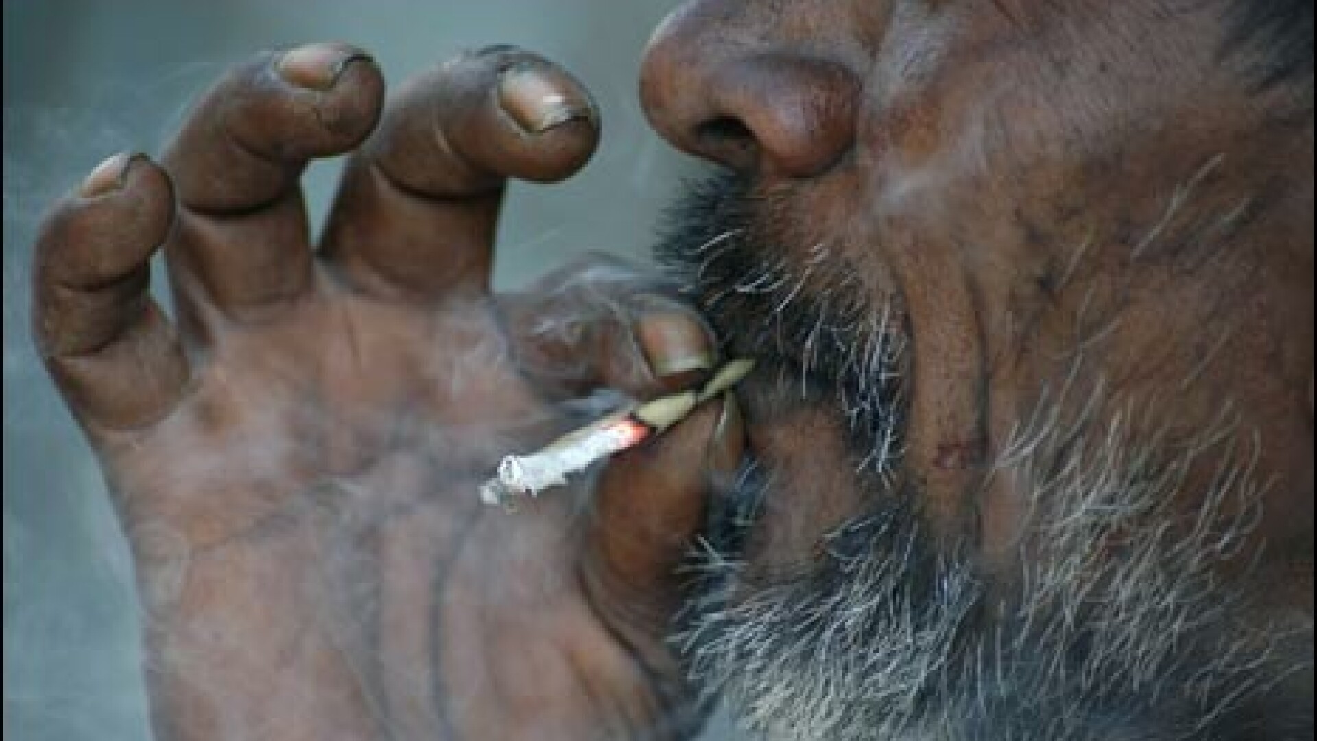India a interzis fumatul in locurile publice