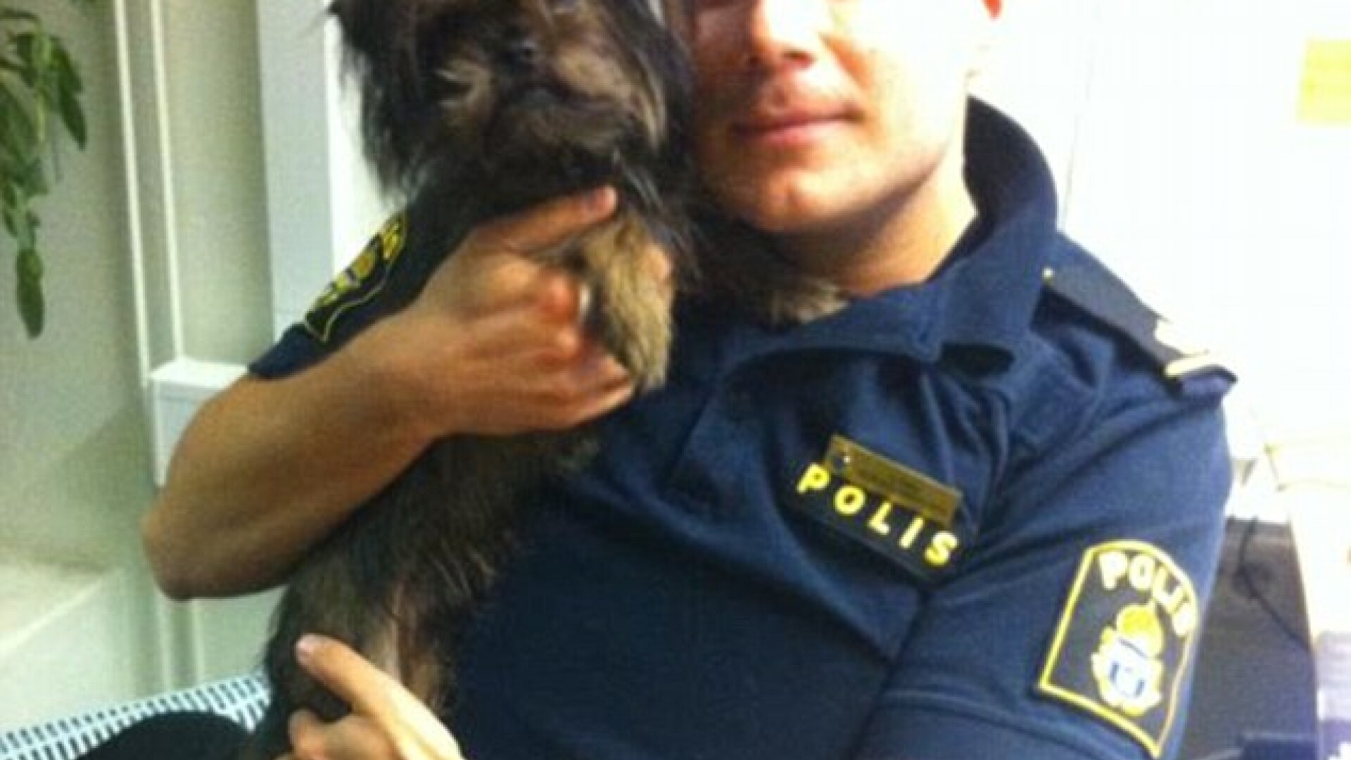 politist cu catel, Suedia, Henrik