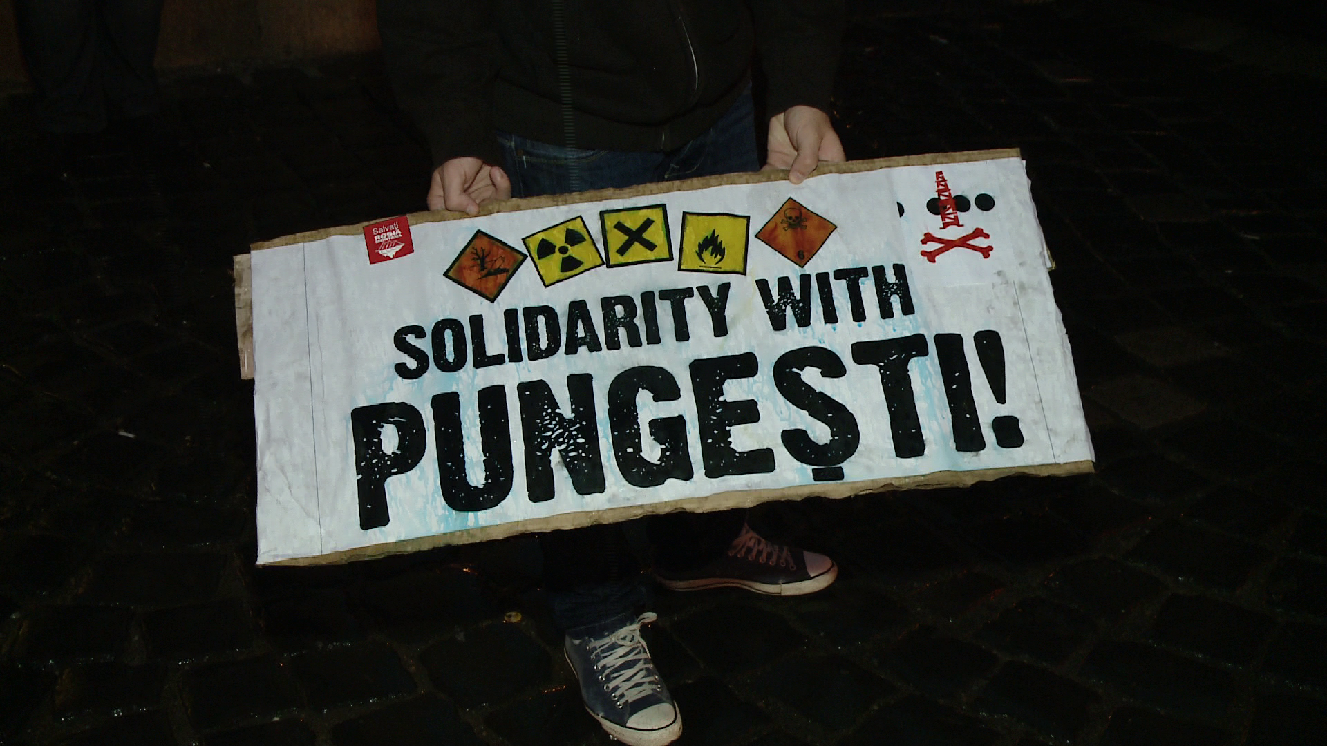 protest Timisoara in solidaritate cu Pungesti