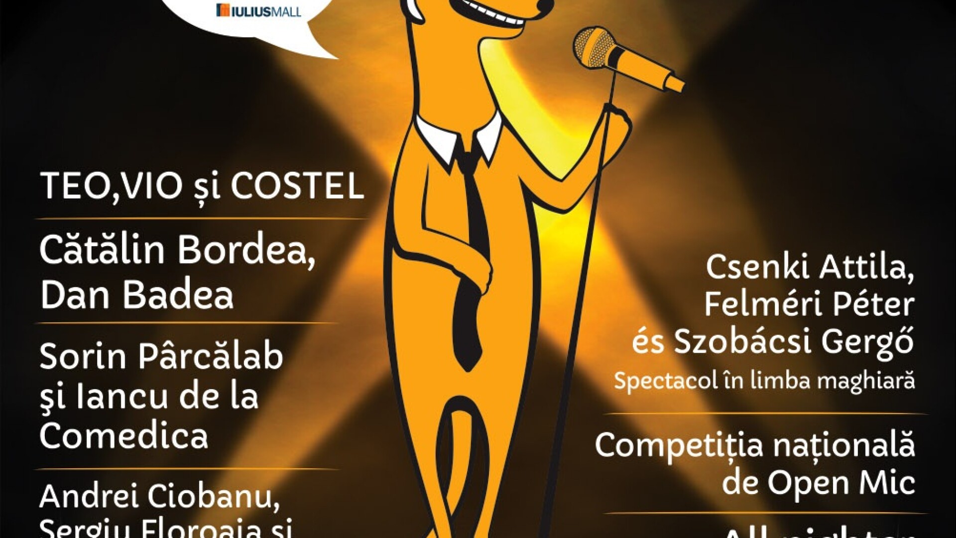 Festivalul International de Stand up Comedy 2013 in curand la Cluj-Napoca