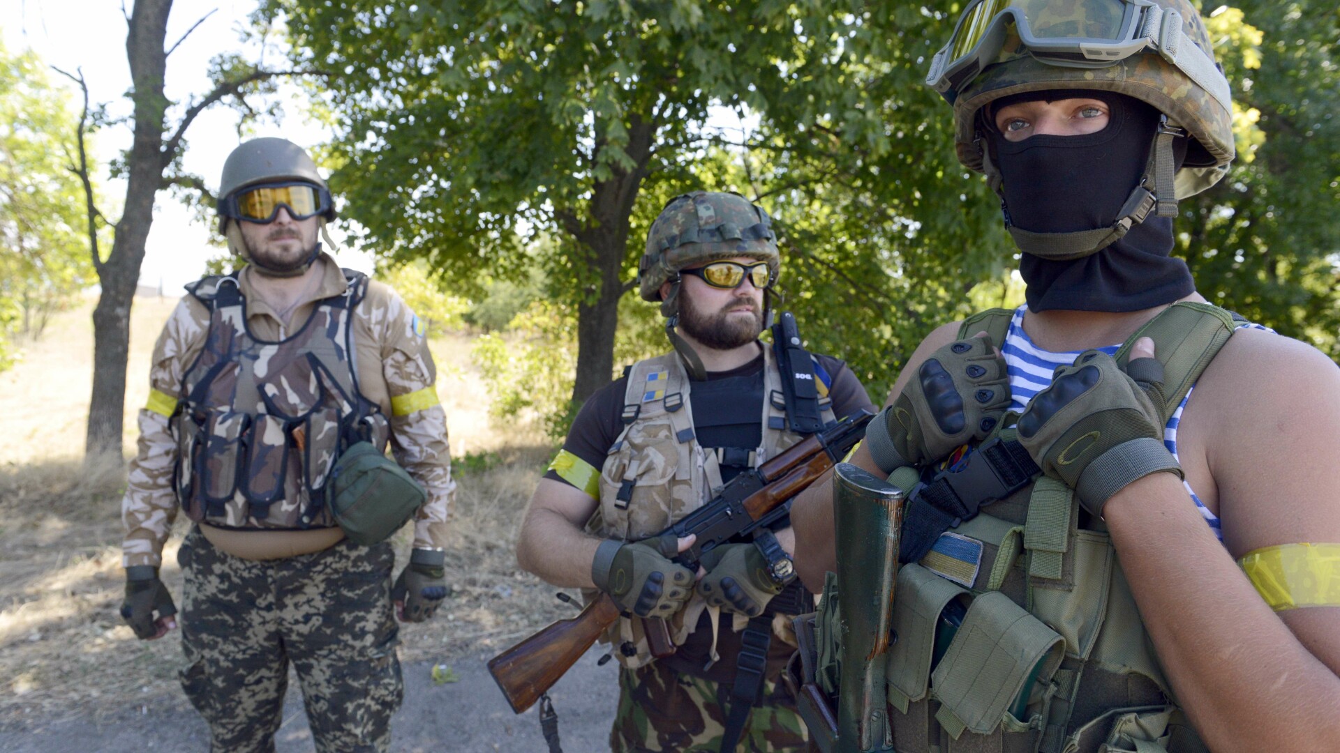 batalion voluntari ucraina