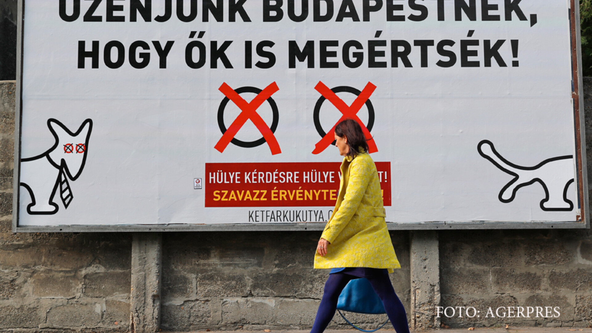 afis referendum Ungaria