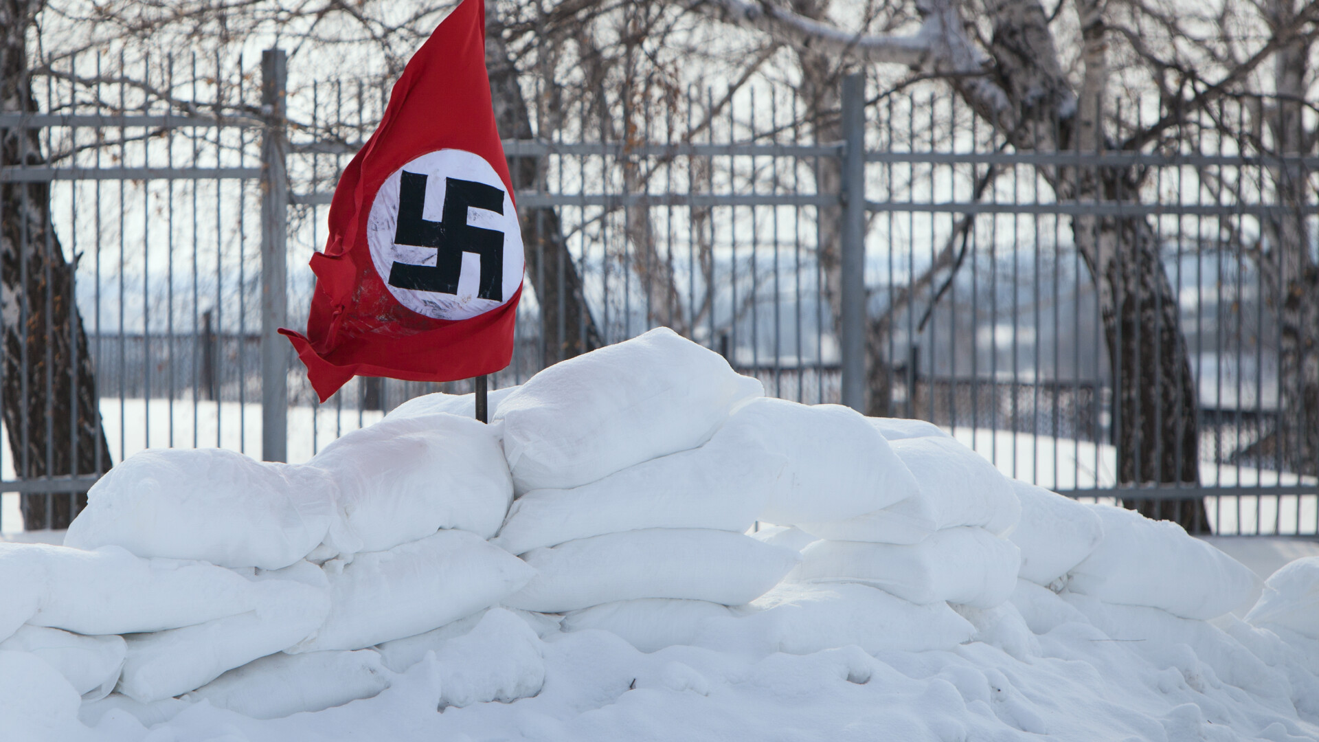 steag nazist in zapada - Shutterstock