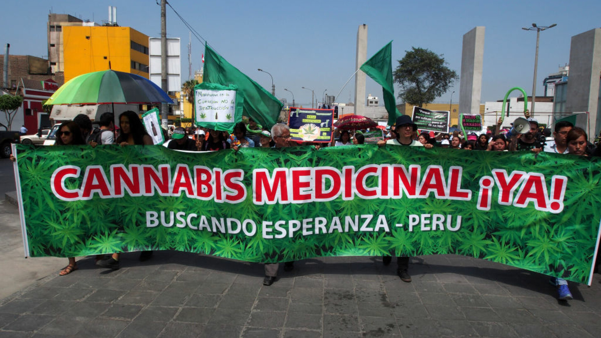 Legalizare marijuana Peru