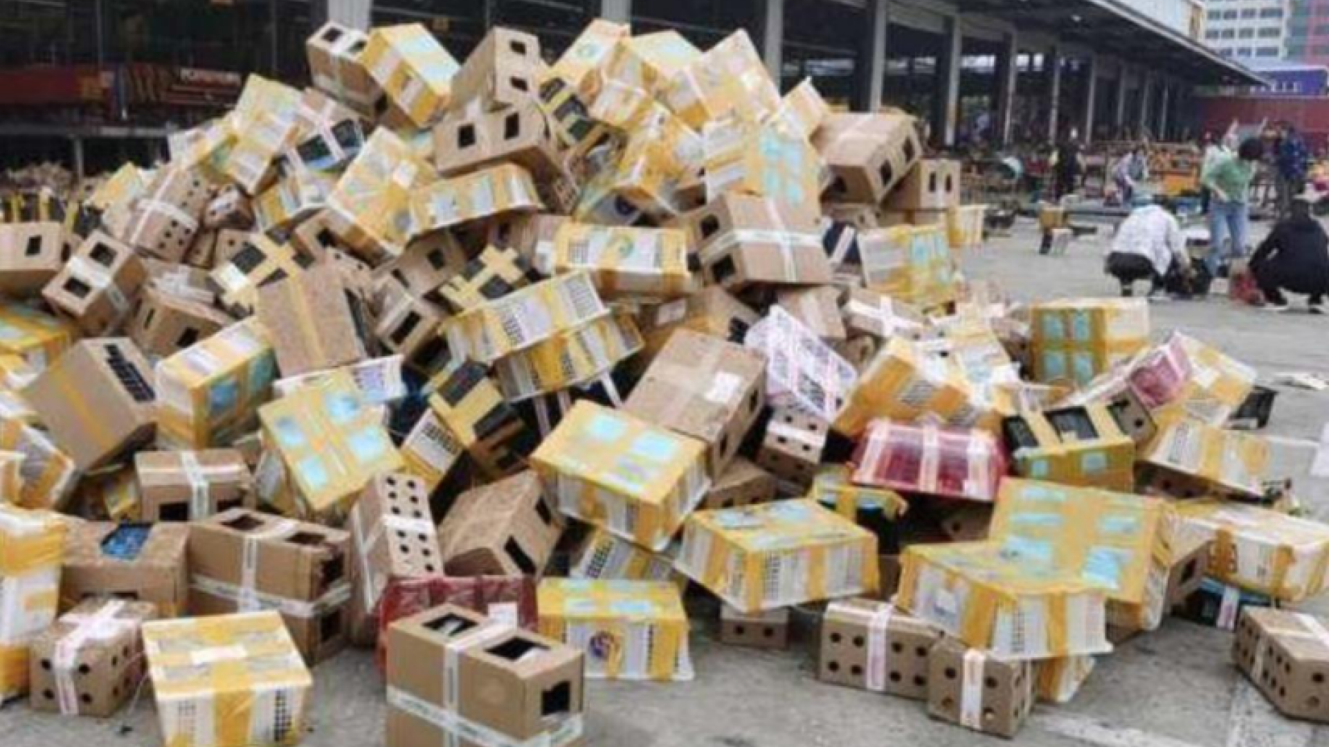 5.000 de animale au fost găsite moarte în cutii, într-un depozit din China. Ce s-a întâmplat