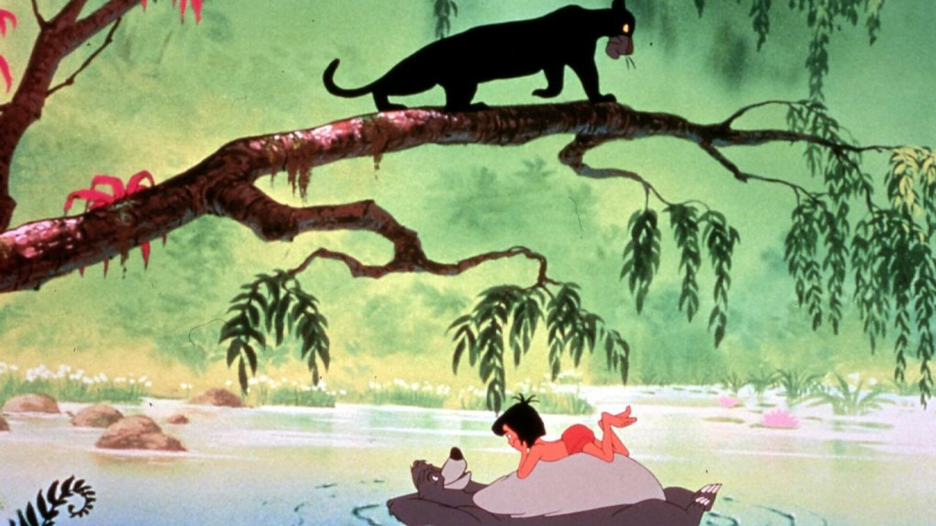 jungle book, cartile junglei