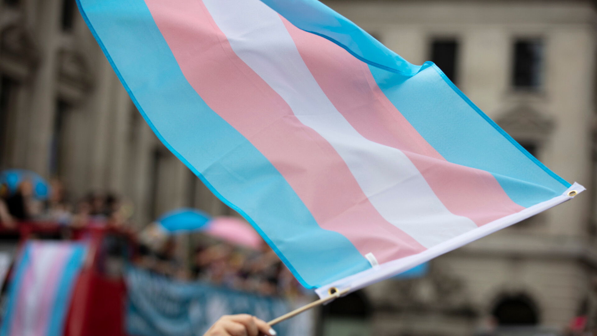 transgender steag