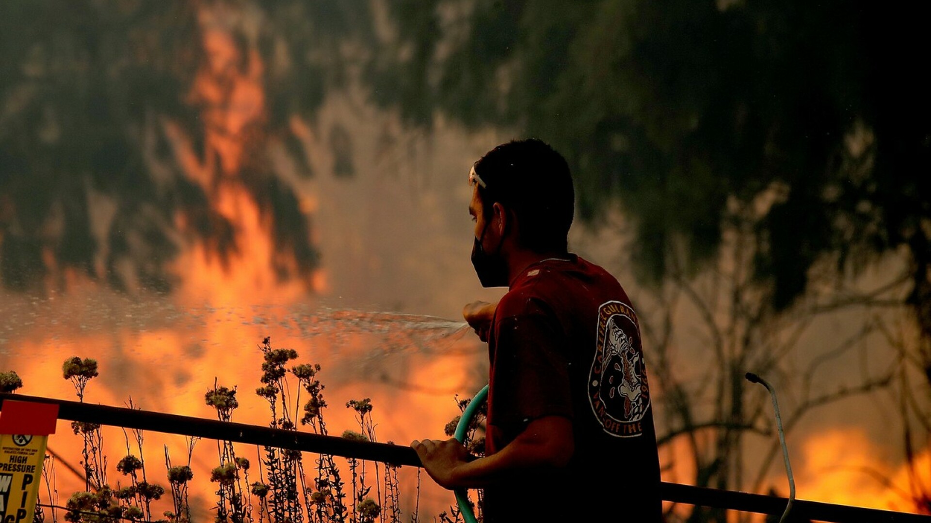 Autoritățile din Siria au executat 24 de persoane, acuzate de provocarea incendiilor devastatoare din 2020