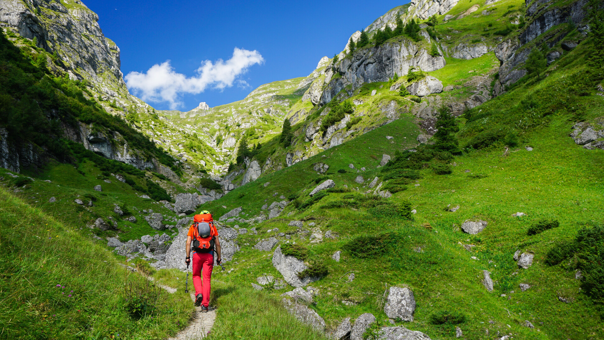 Drumetii in Bucegi