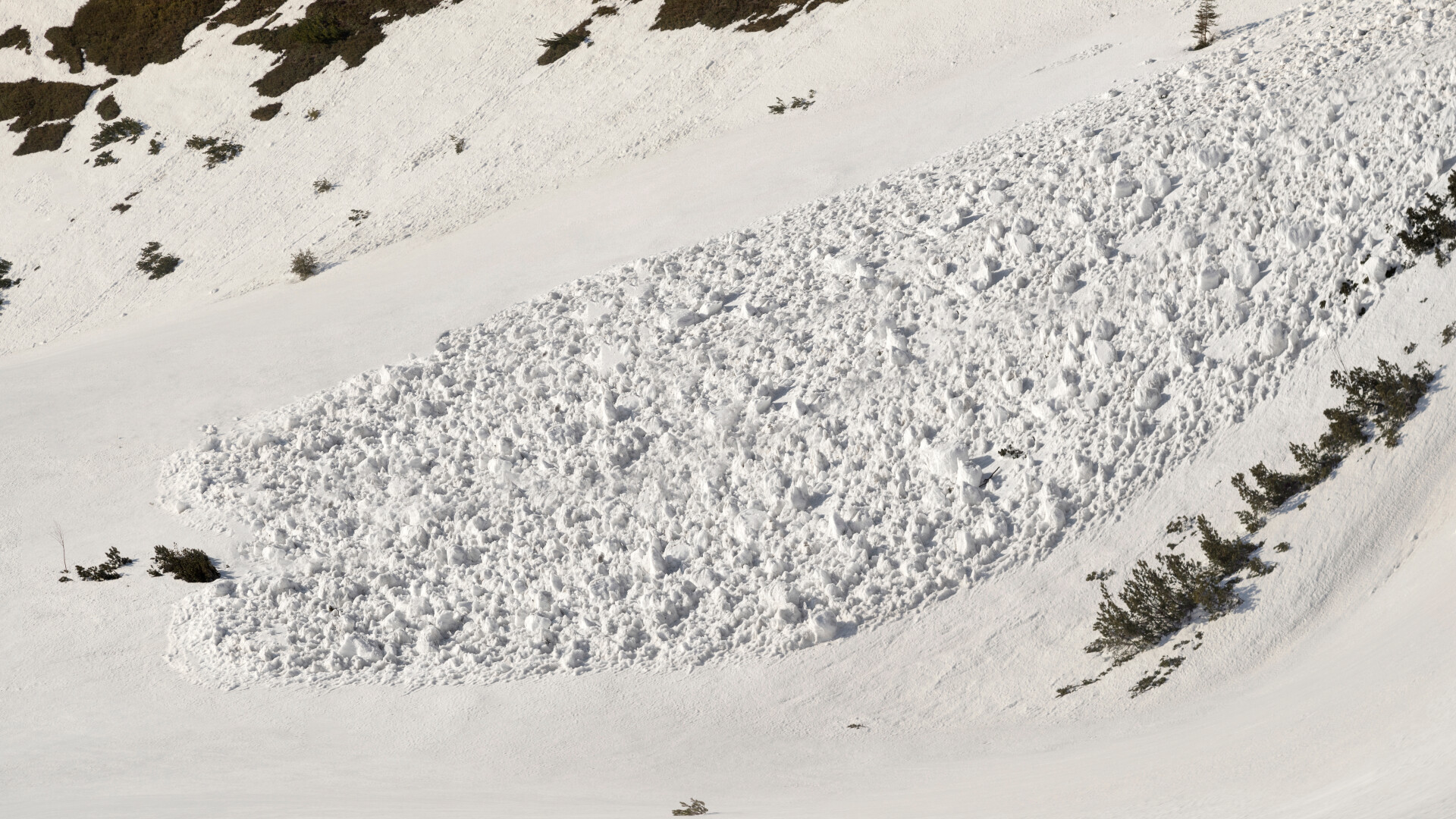 Cinci alpiniști germani au murit într-o avalanșă în Italia. Printre victime se află și o fată de 17 ani