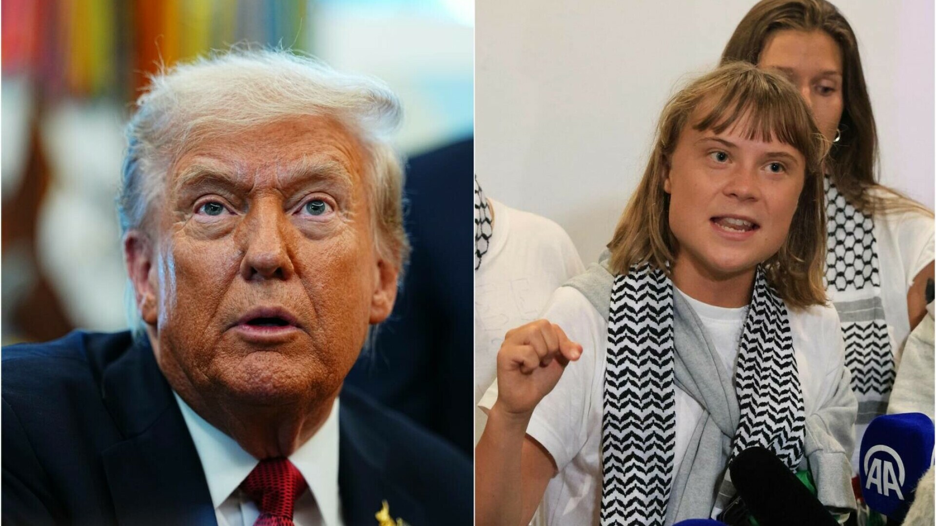 donald trump si greta thunberg