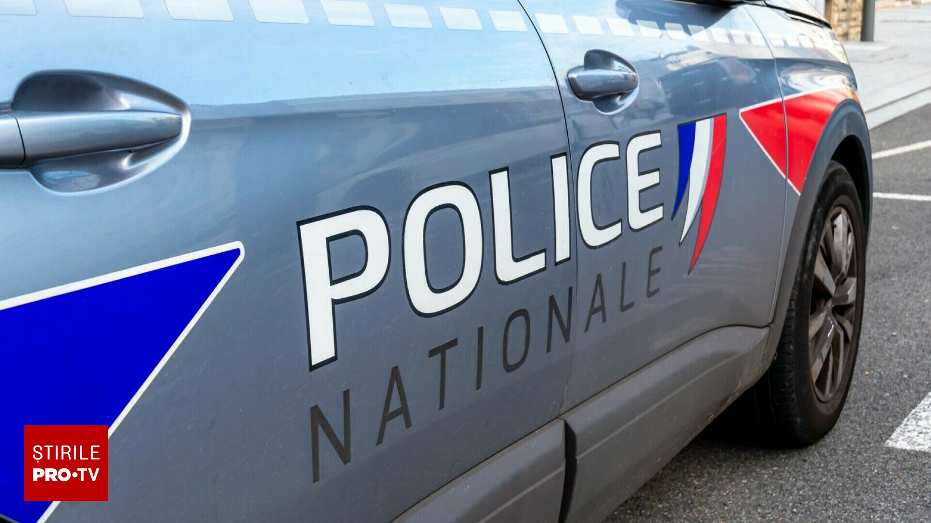 Mai mulți hoți de cai au fost prinși în Franța și România. Suspecții reținuți riscă pedepse de până la 15 ani de închisoare