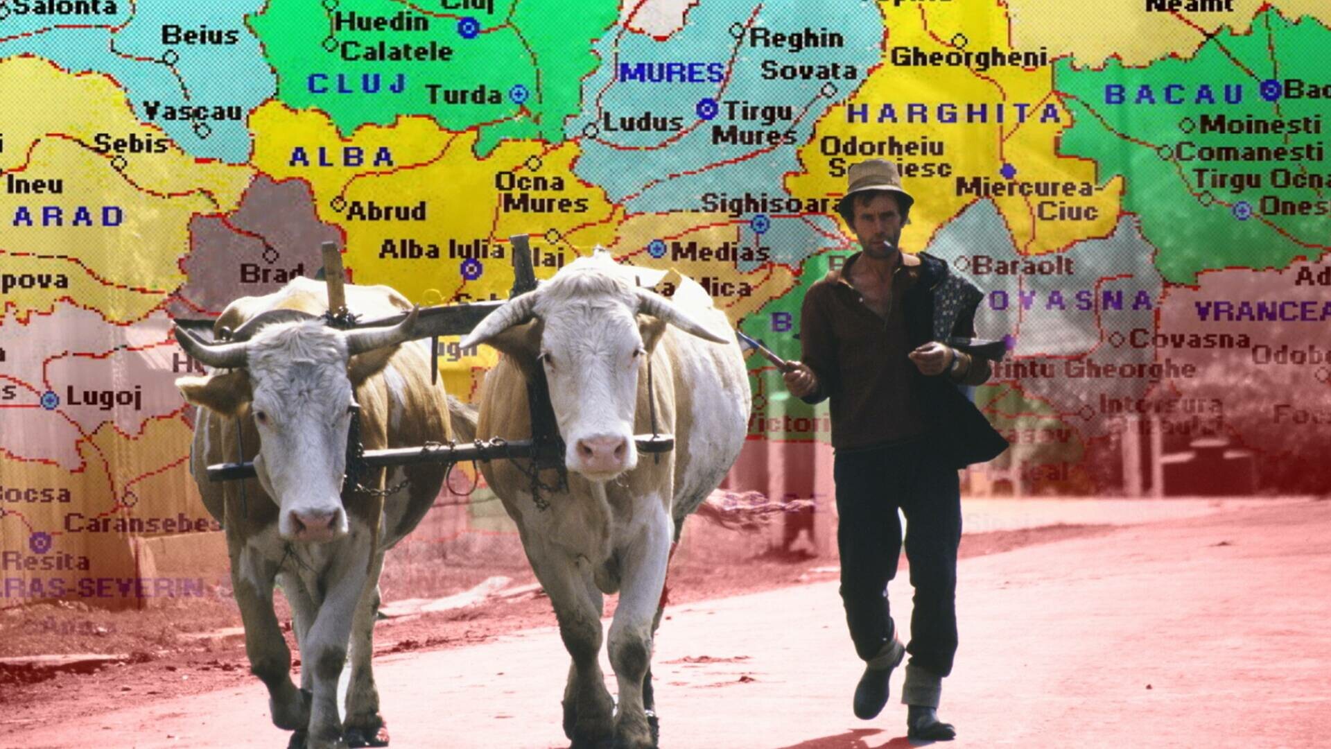 raport curtea romania