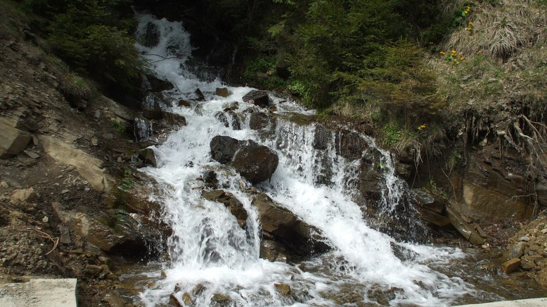 Soferul care a plonjat cu masina in Bistrita este de negasit!