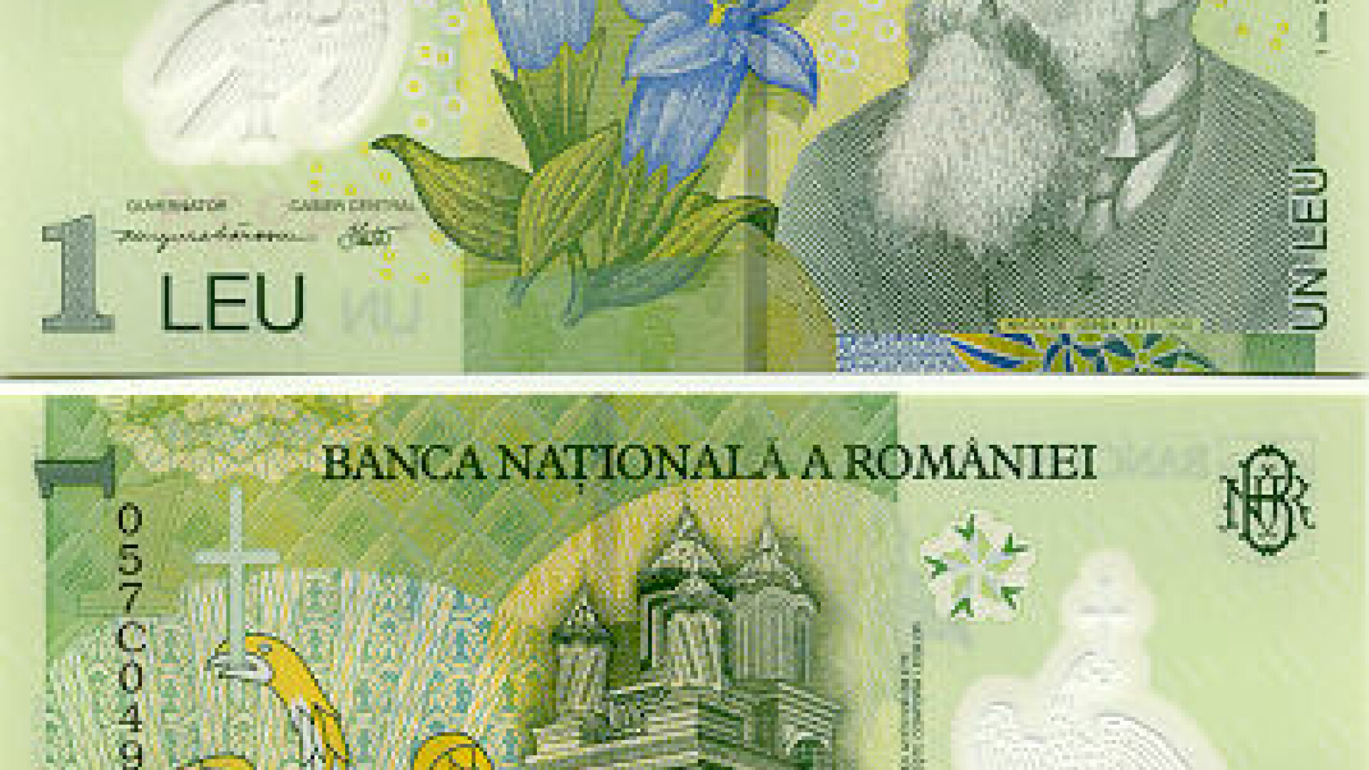 Moneda nationala