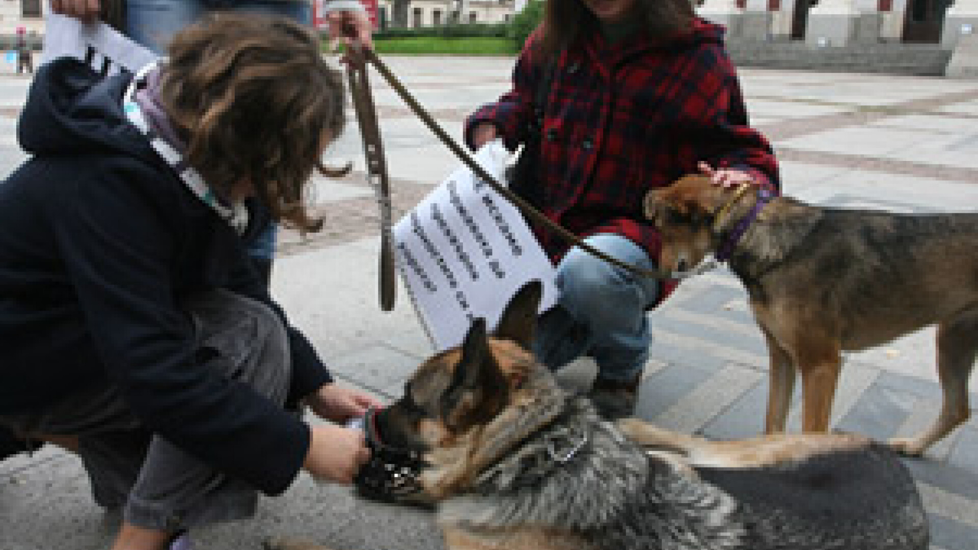 Protestul al stapanilor de caini in capitala bulgara