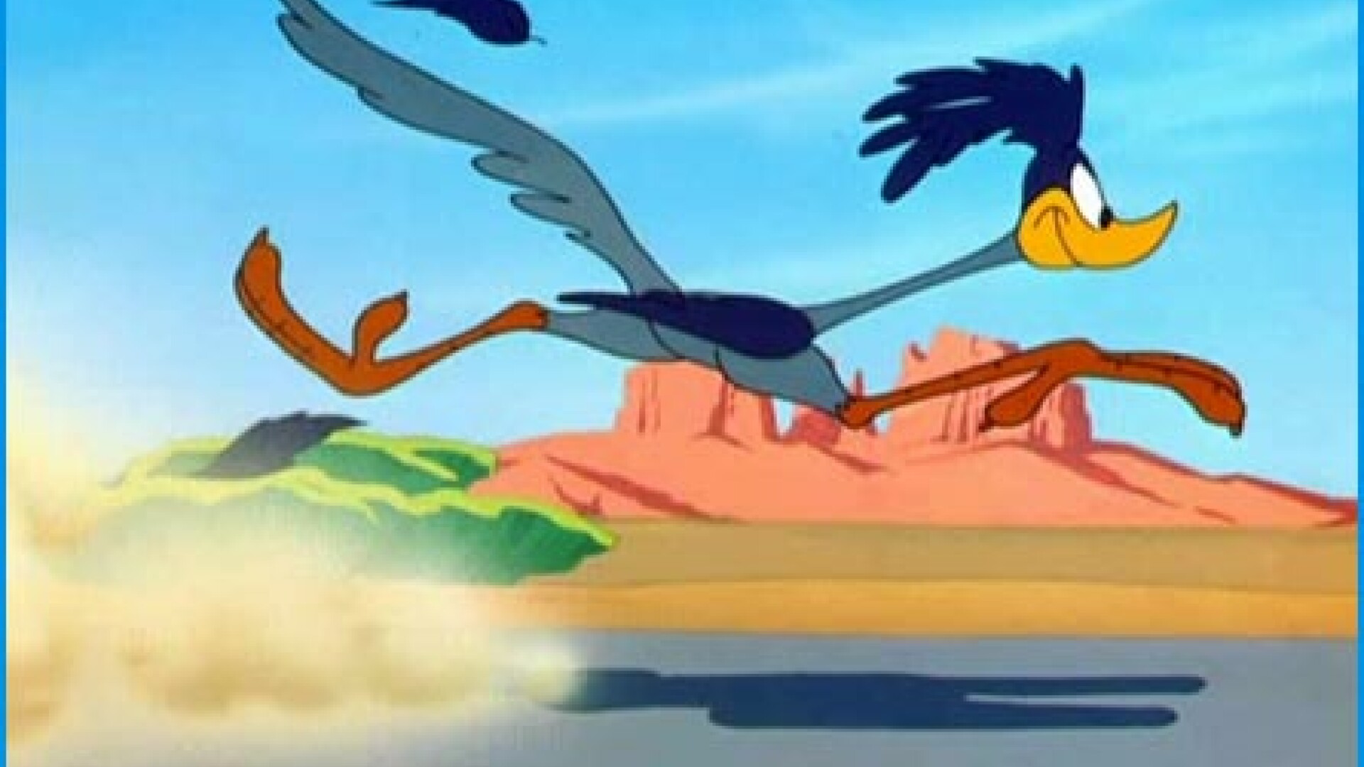 road runner