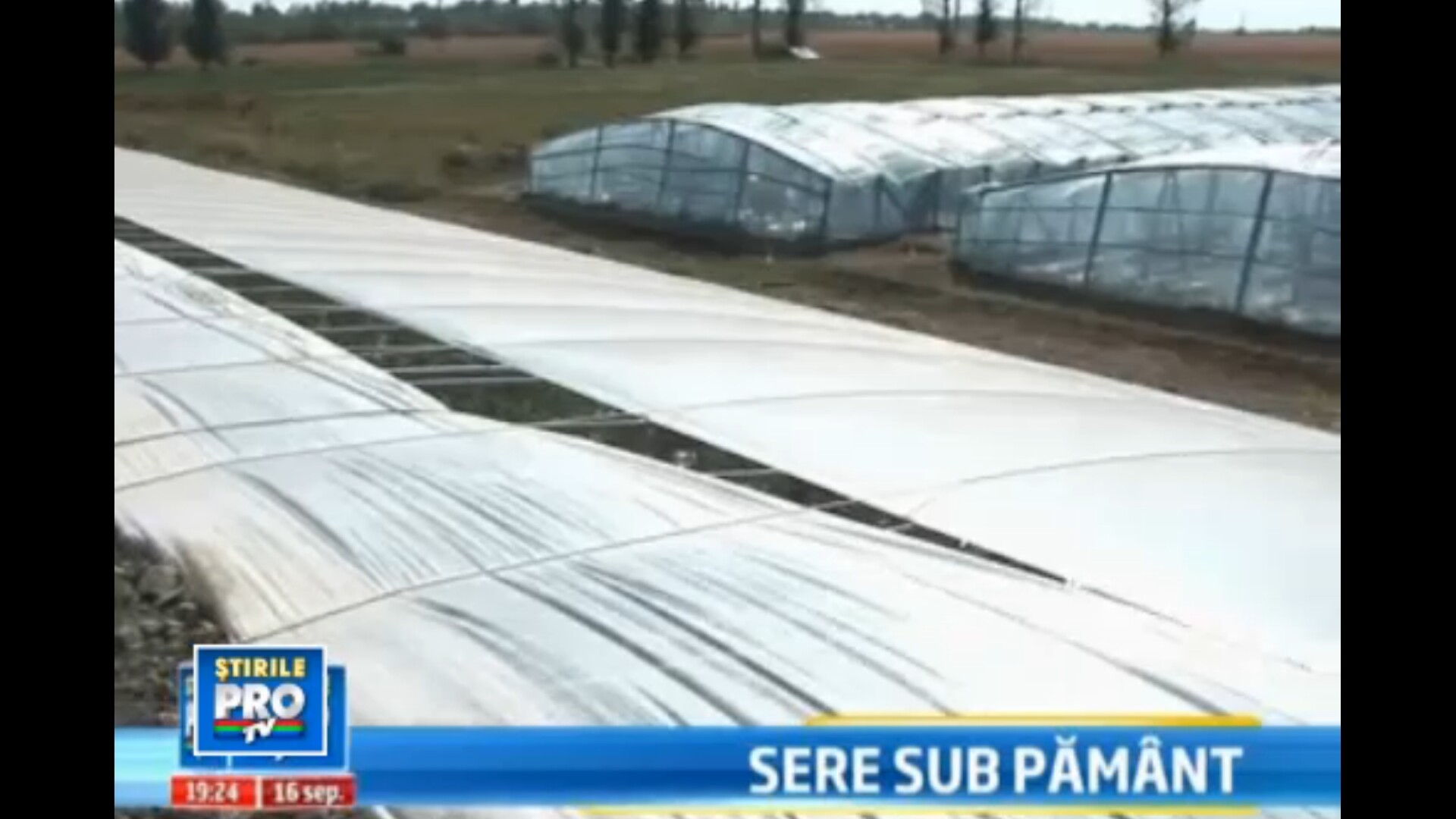 Idee ingenioasa adusa de chinezi in Romania. Cum poti produce legume si ...