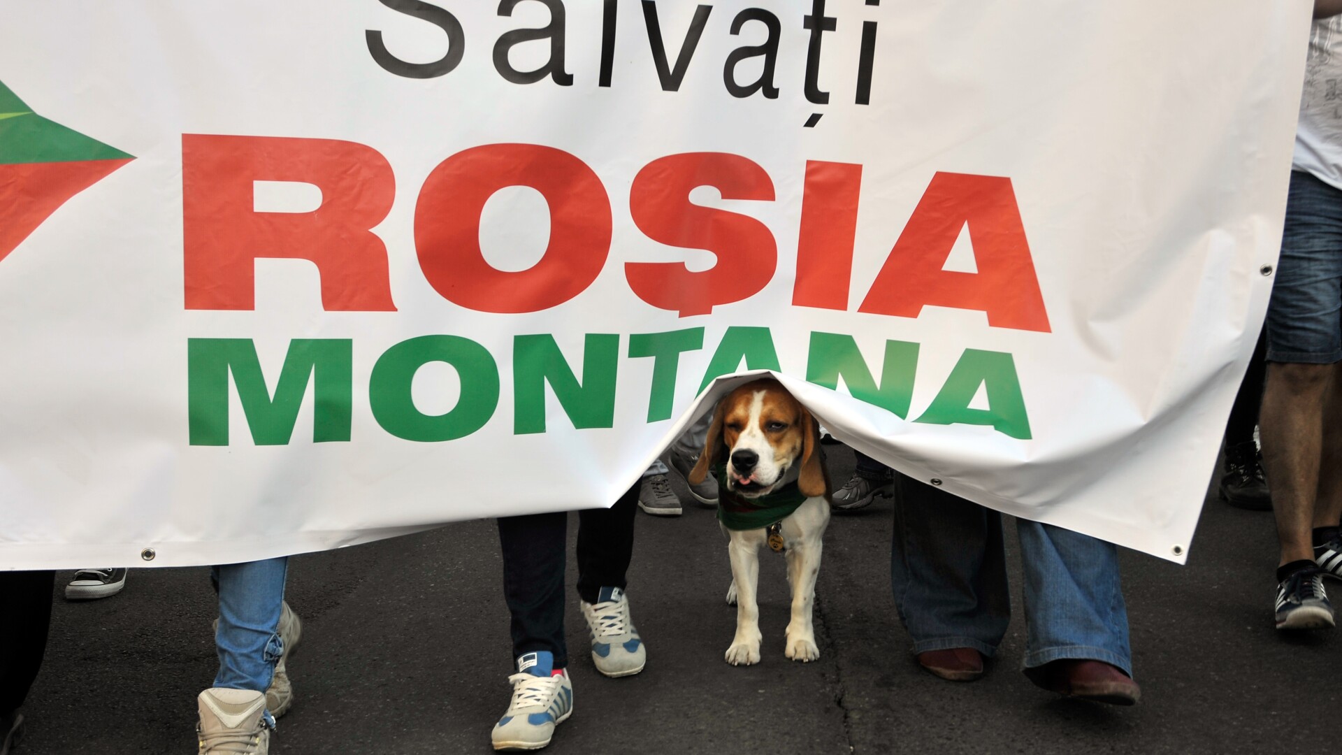 Rosia Montana