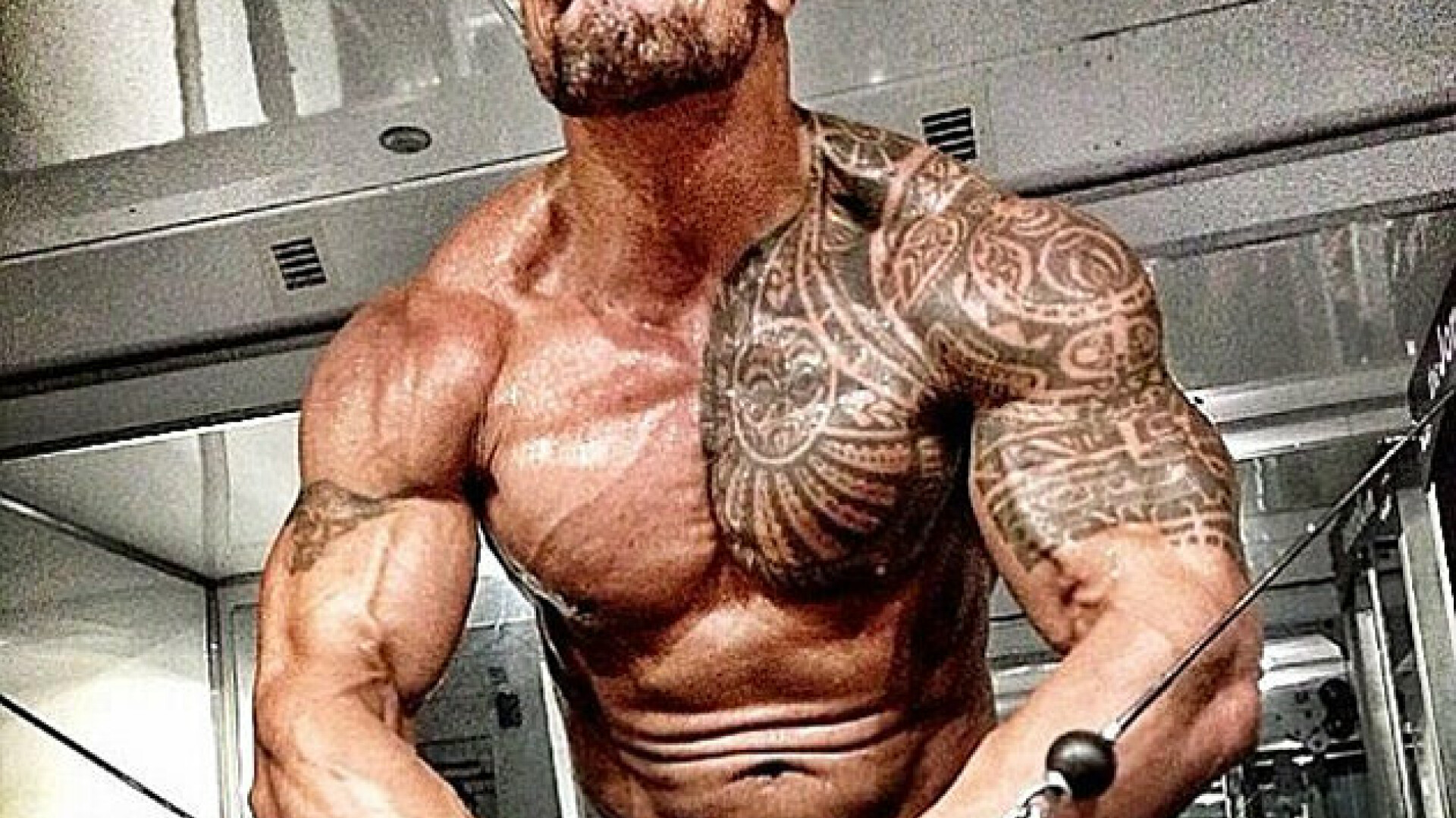 The Rock are simtul OMORULUI! :) Cum i-a amenintat pe cei care merg la aceeasi sala ca si el: