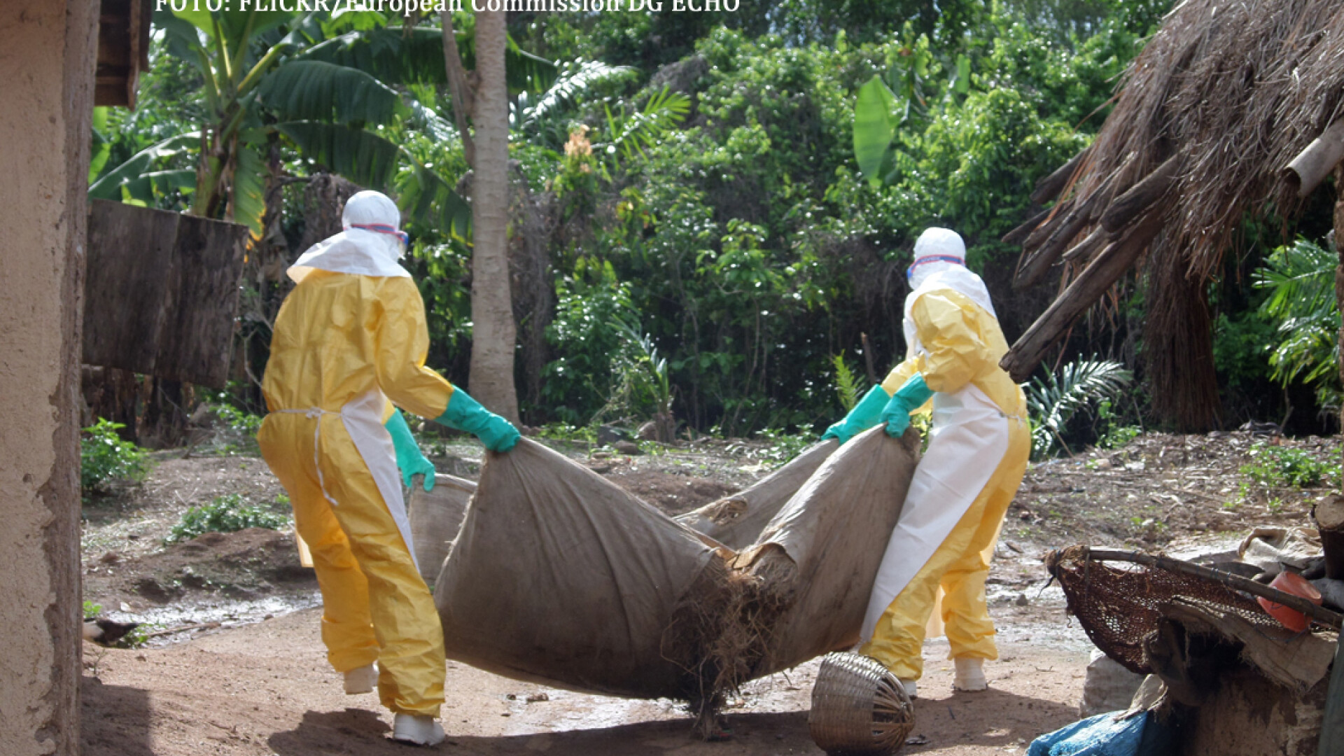 voluntari lupta impotriva Ebola in Africa