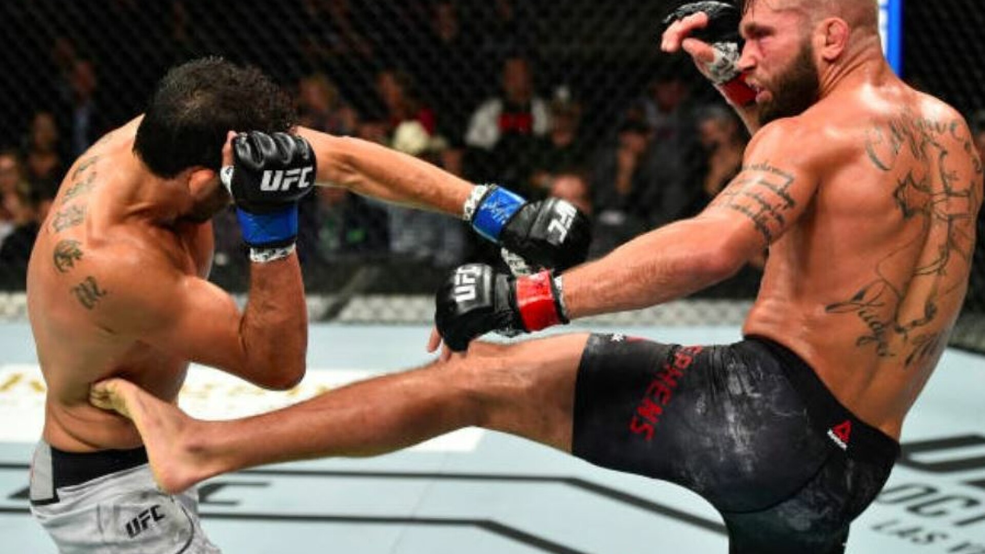 Oamenii s-au speriat cand au vazut imaginea horror! Cum arata piciorul unui luptator din UFC dupa ce a fost distrus in ring