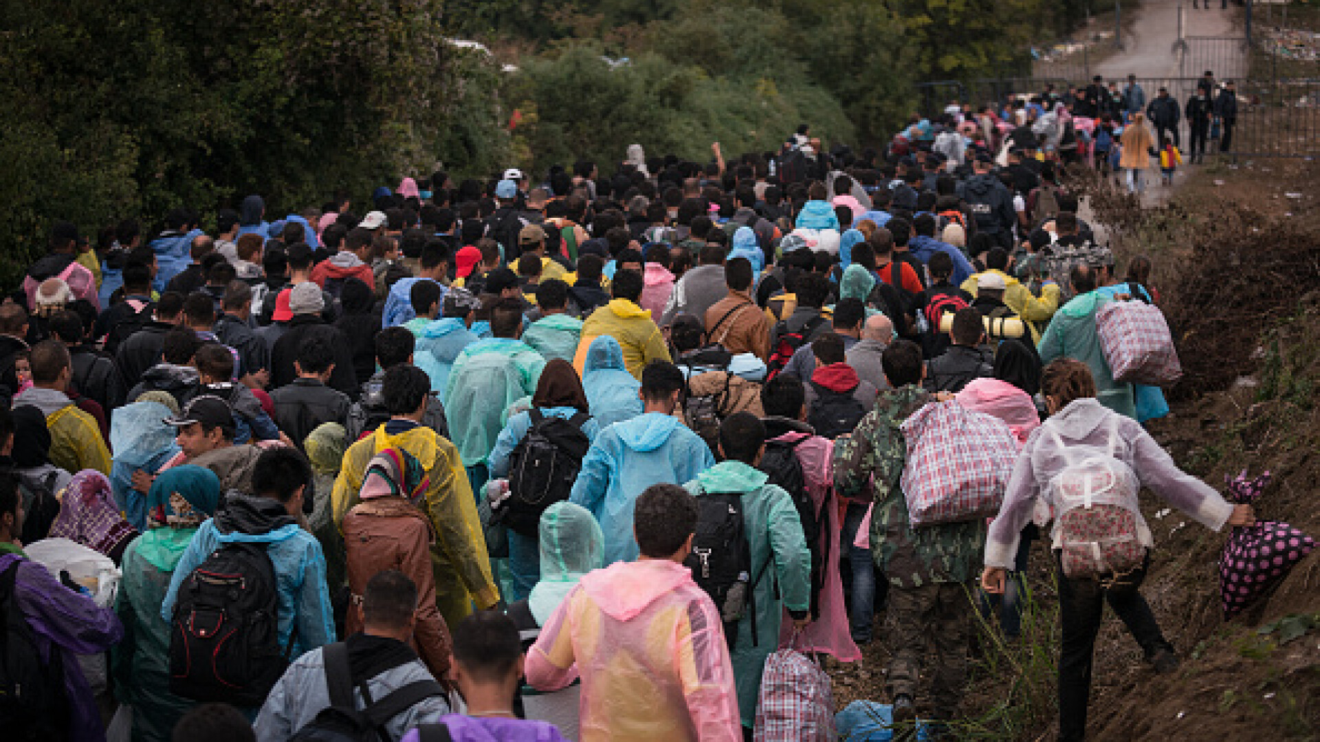 migranti, refugiati