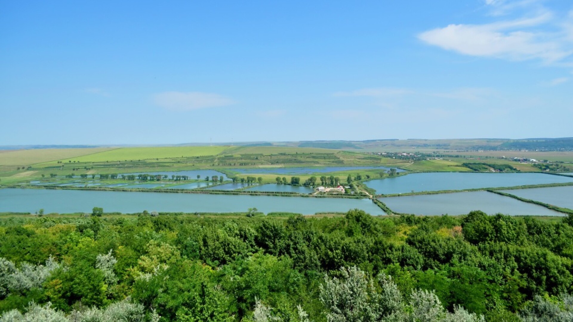 Delta Moldovei, Jijia