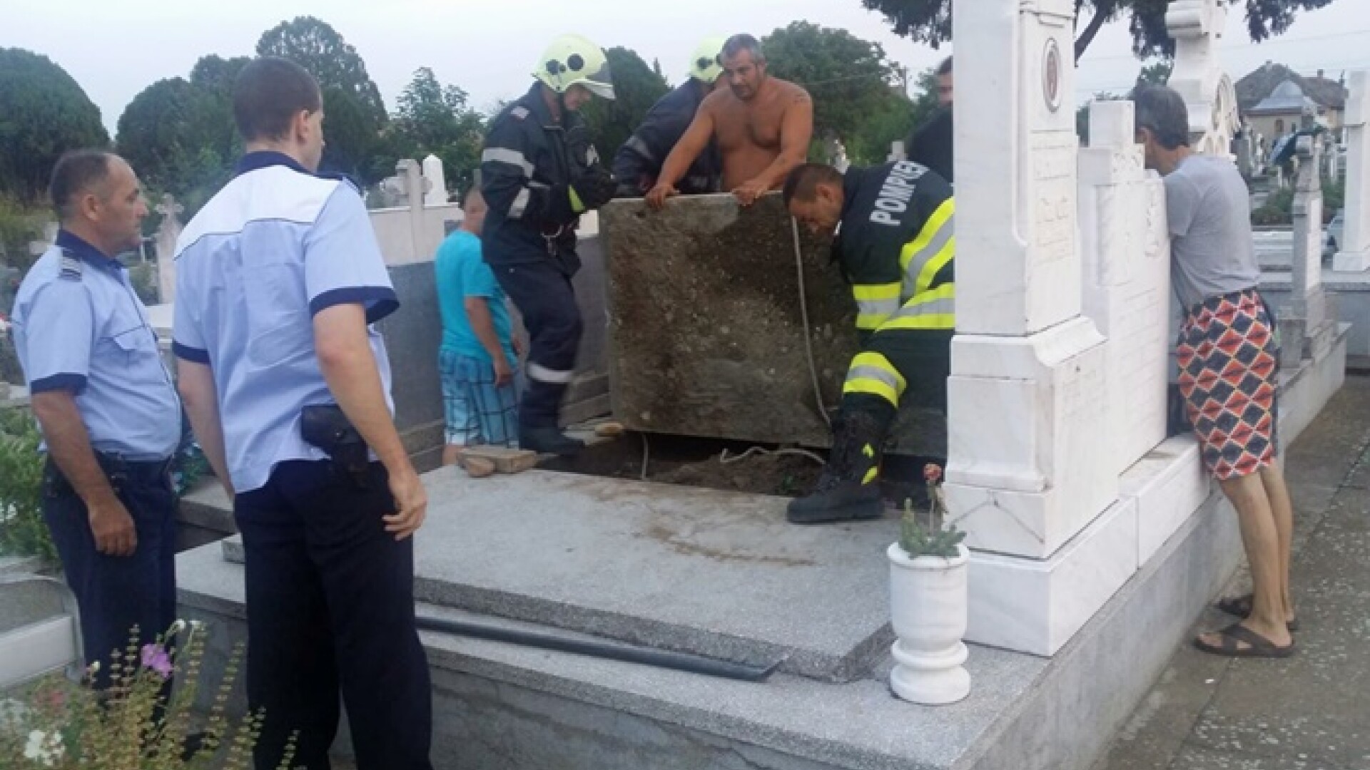 câine îngropat de viu Timiș