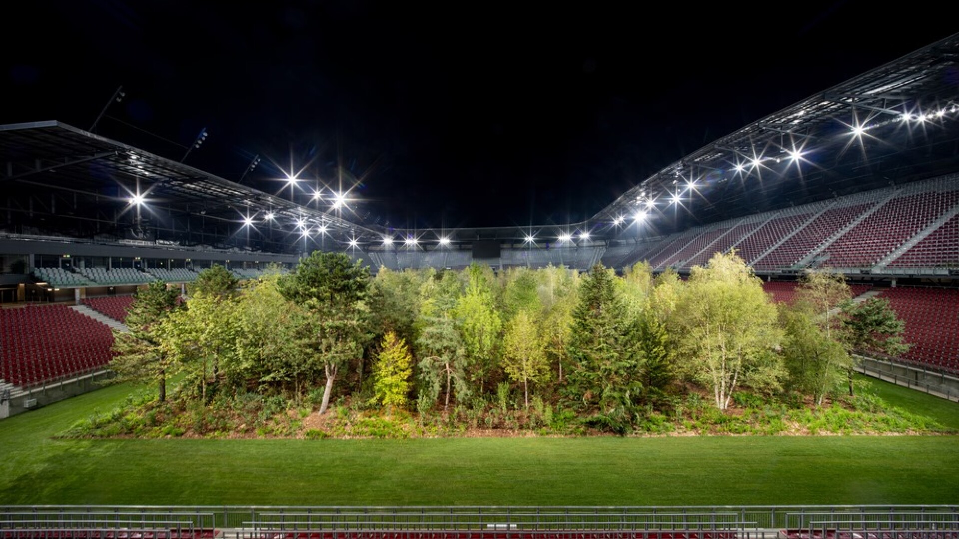 Gazonul unui stadion a fost înlocuit cu o pădure